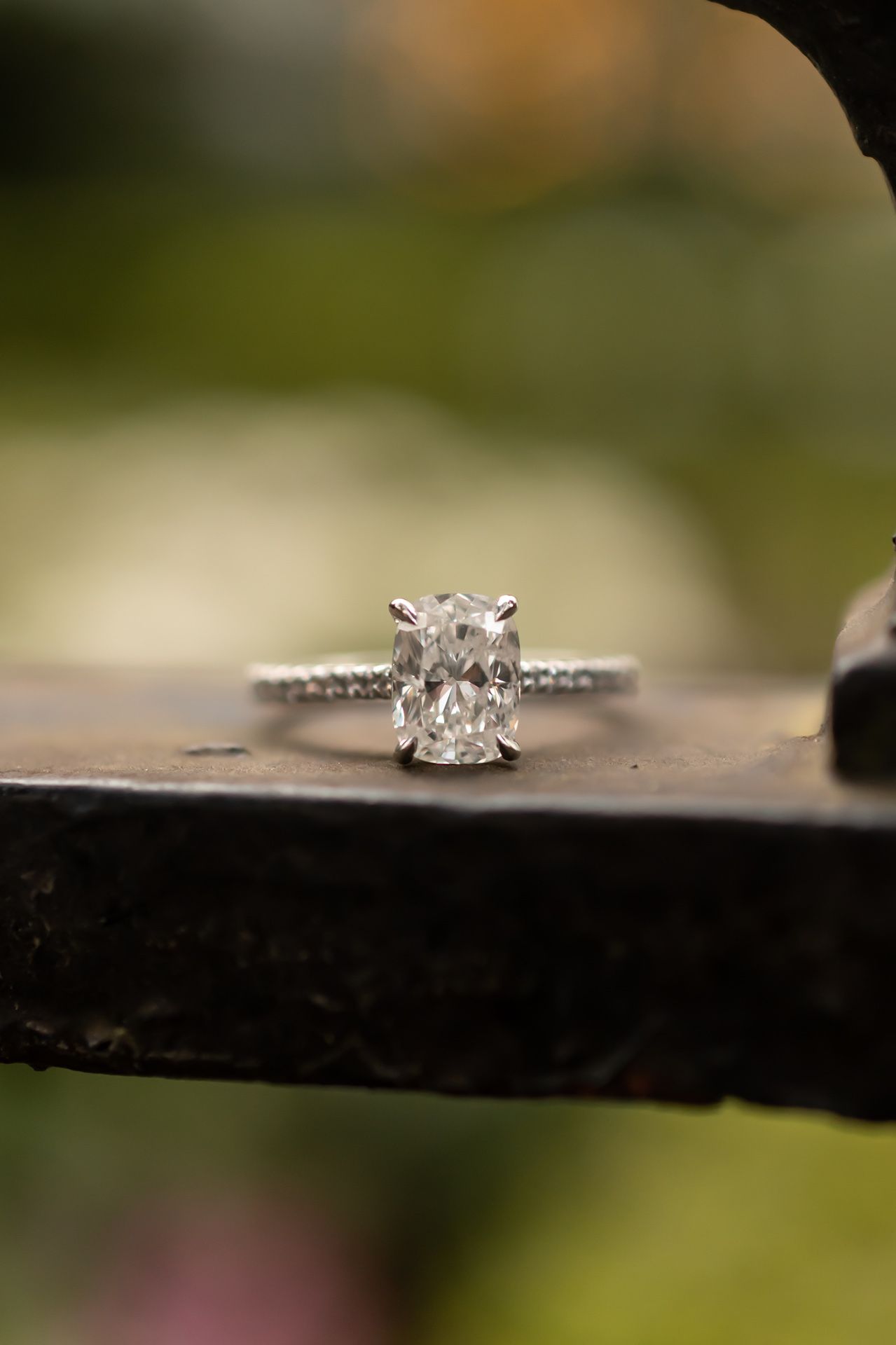 A sparkling diamond engagement ring shown in a progression of macro shots against a blurred natural background.
