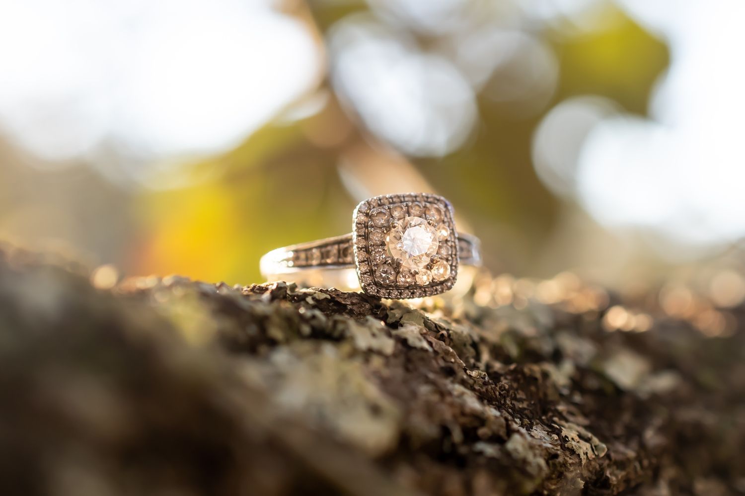 Sparkling engagement ring with cushion-cut center stone and halo design photographed on textured bark in natural light.