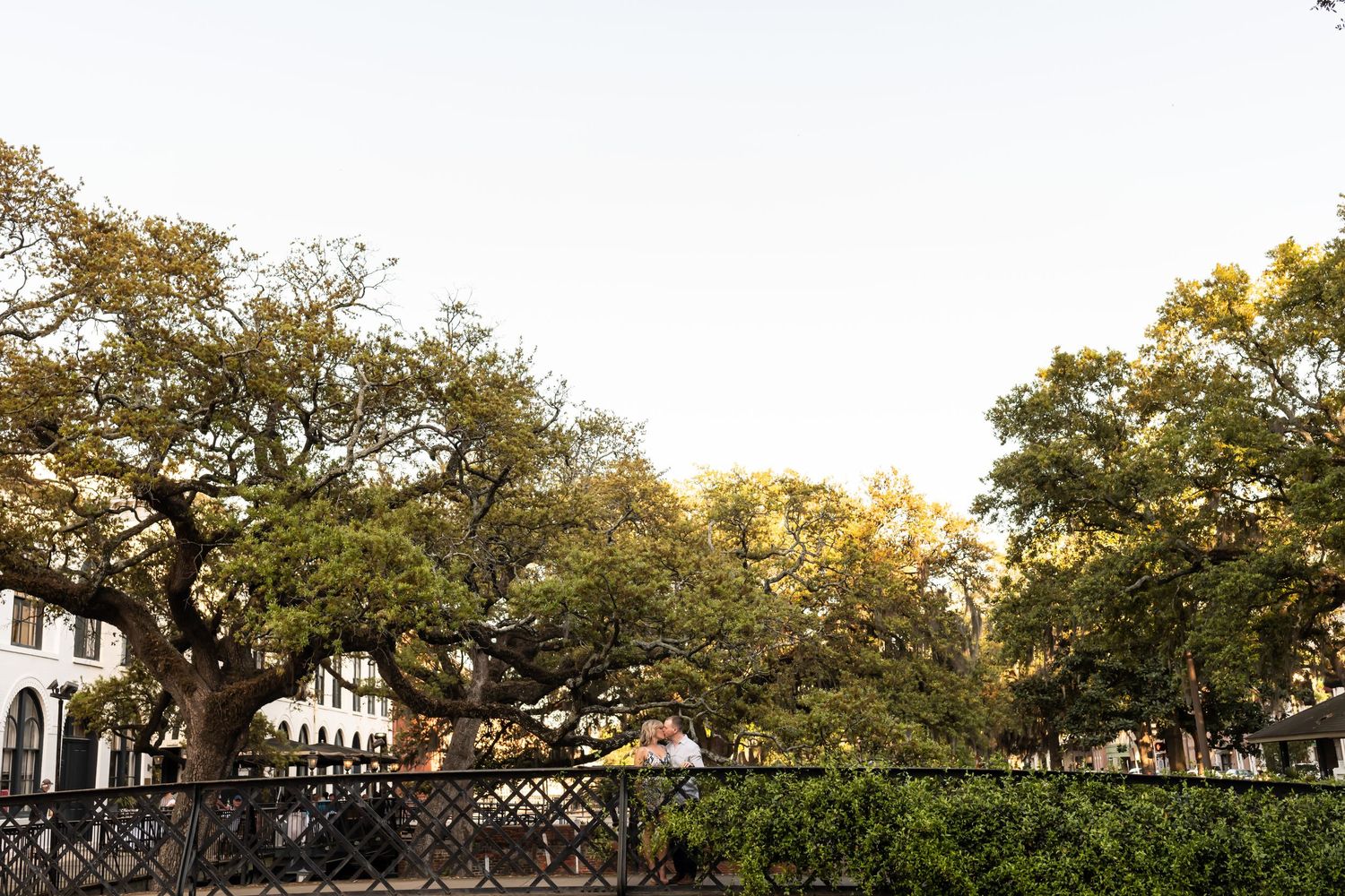 Large oak trees with Spanish moss drape over a historic courtyard in historic Charleston, South Carolina at sunset.