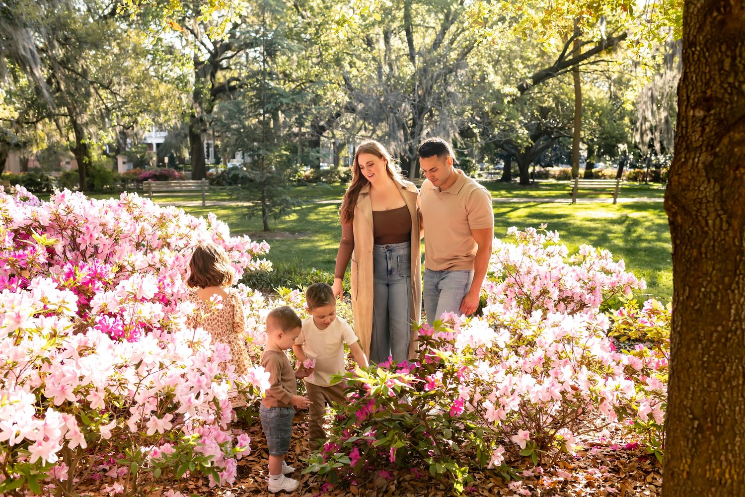 A family stands together admiring vibrant pink azalea bushes in a sun-dappled park on a spring afternoon.
