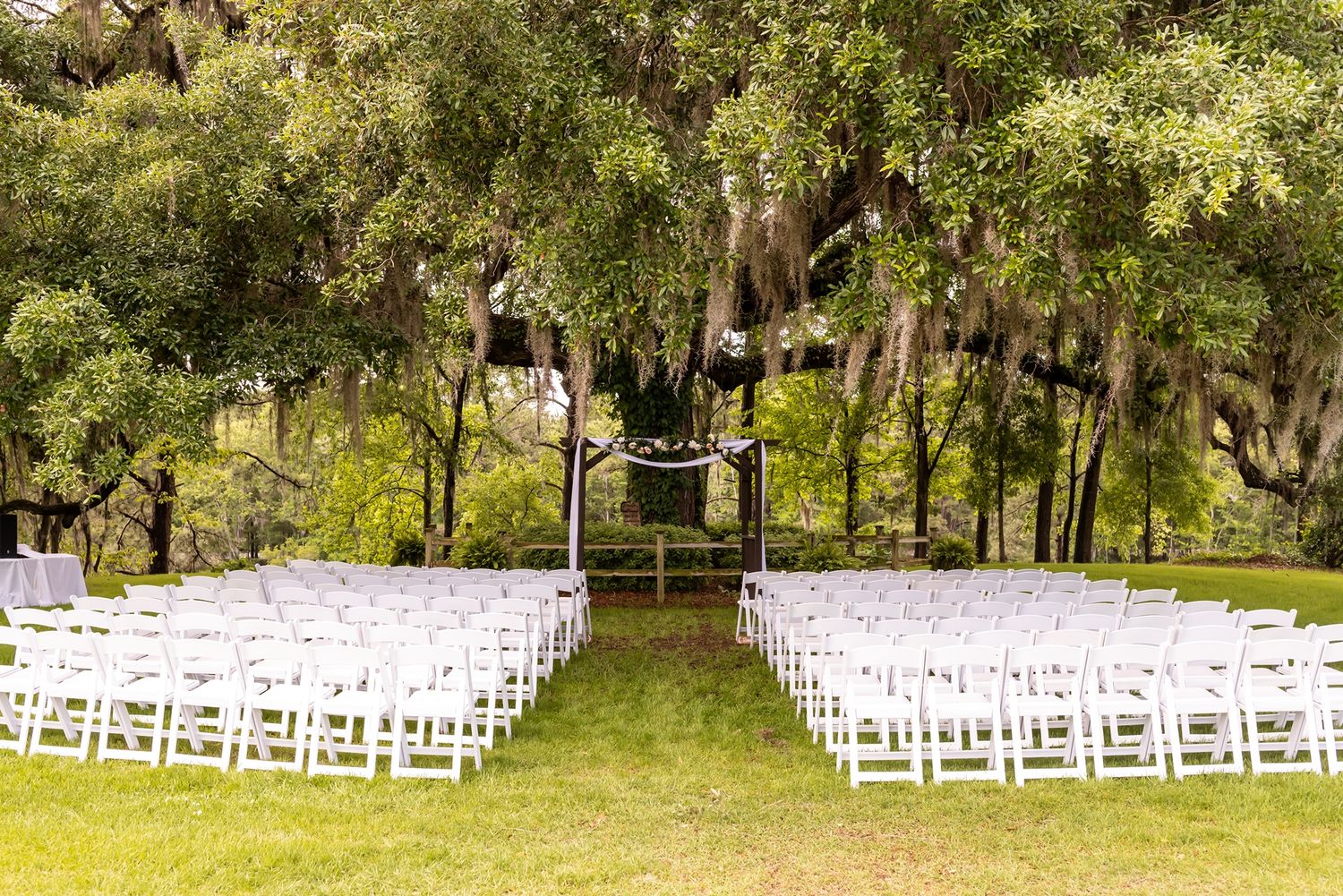 Rows of white folding chairs arranged for an outdoor wedding ceremony beneath a canopy of oak trees.