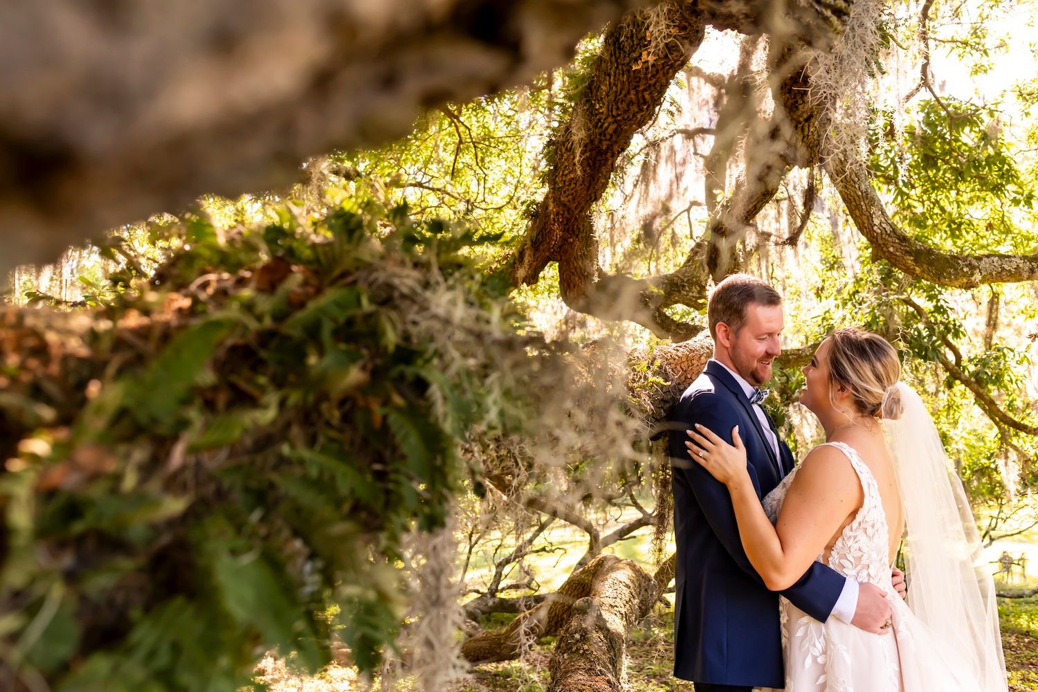 A couple embraces under moss-draped trees during a romantic outdoor wedding photoshoot.