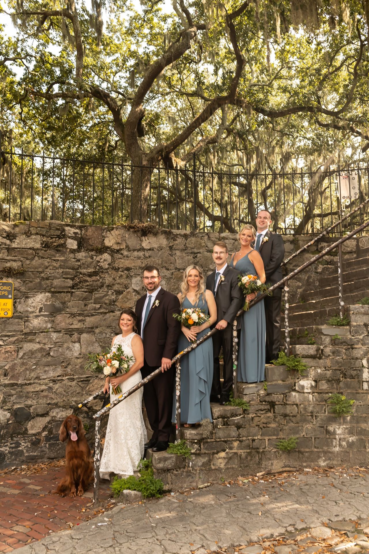 A wedding party poses with their dog on stone steps with Spanish moss draped trees in the background.