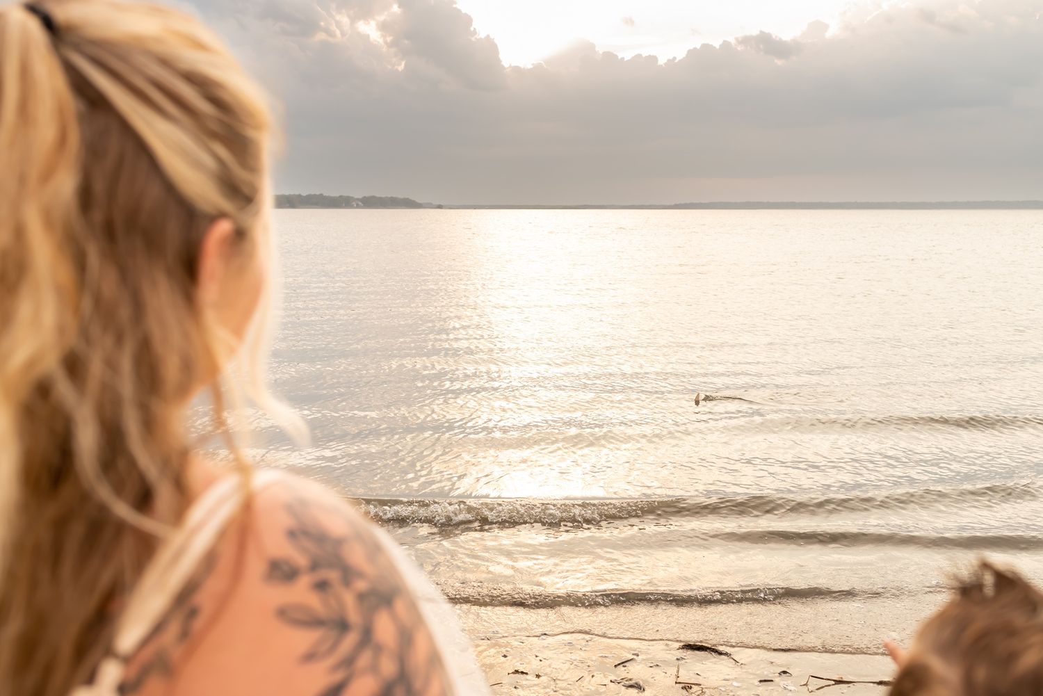 Person with tattoo gazes at peaceful beach sunset over calm waters as waves gently lap at sandy shore.