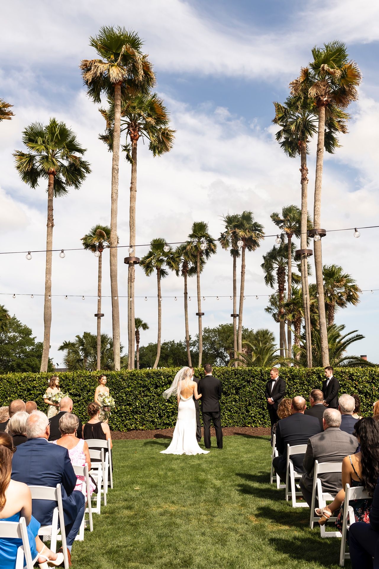 Outdoor wedding ceremony setup on green lawn with tall palm trees and string lights under blue sky.