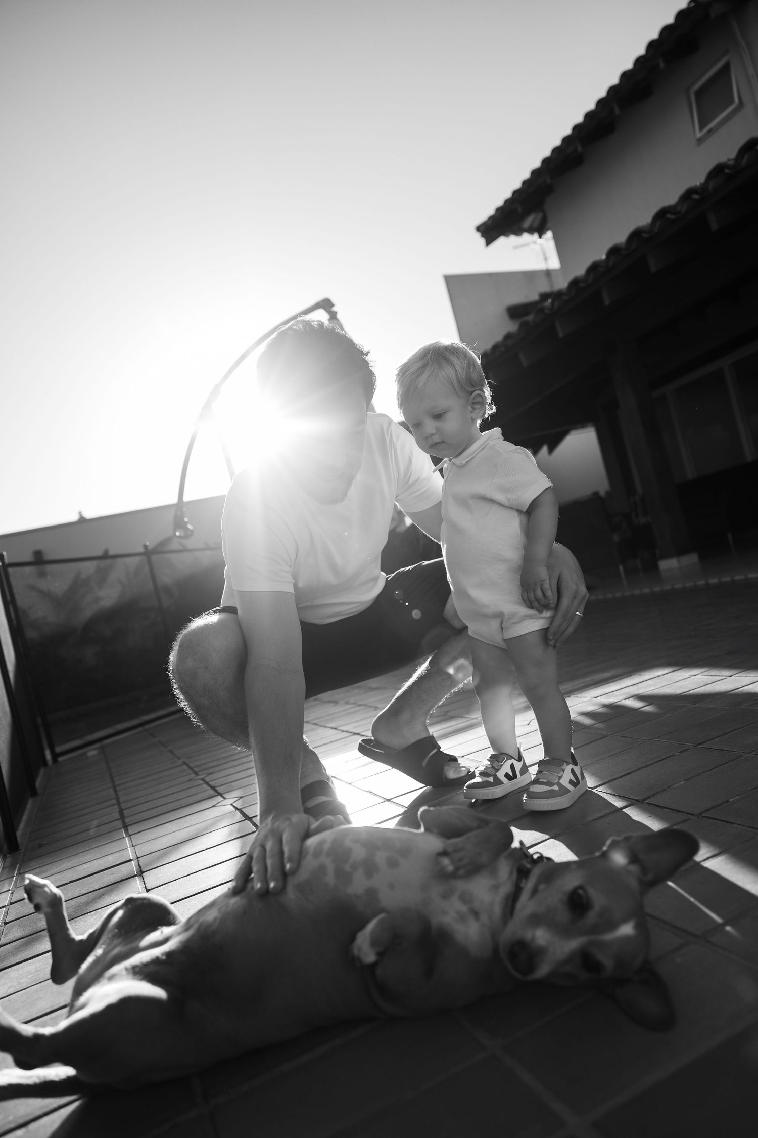 People playing with dog on sunlit patio in silhouette.