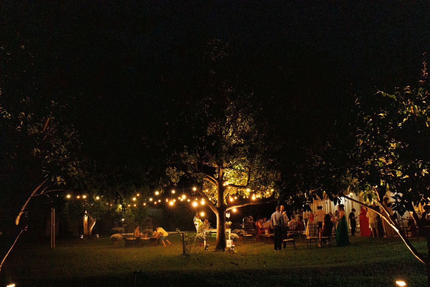 Panoramic view of an outdoor evening event with string lights illuminating trees.