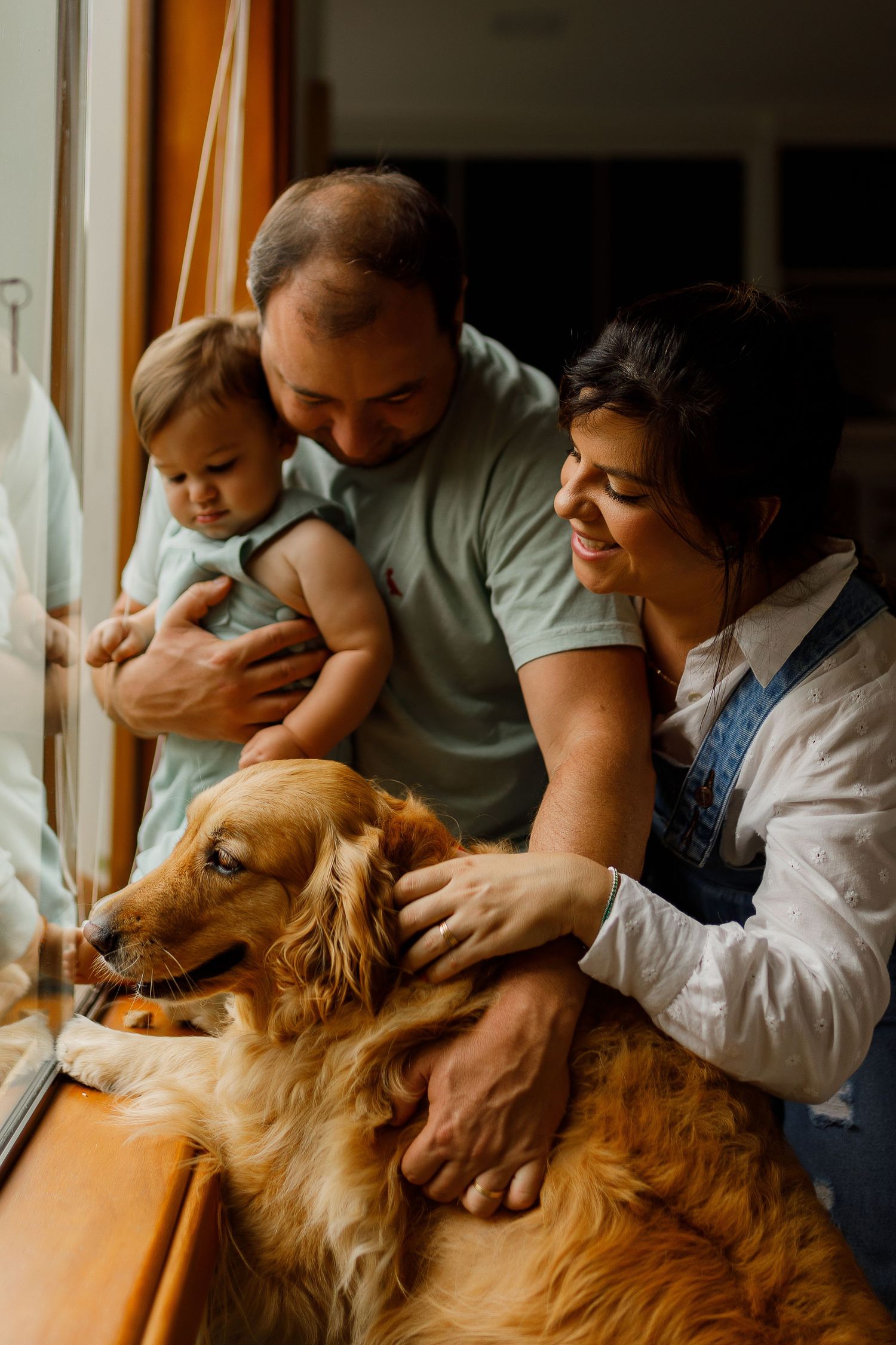 Intimate indoor family moment with a golden retriever dog lounging on a couch by a window.
