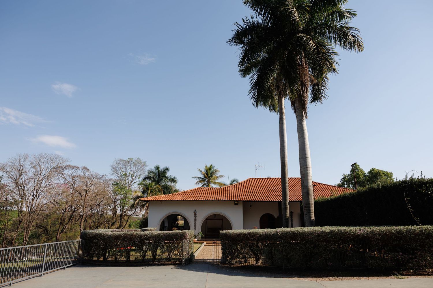 Palm trees and Spanish-style architecture under bright blue Florida sky.