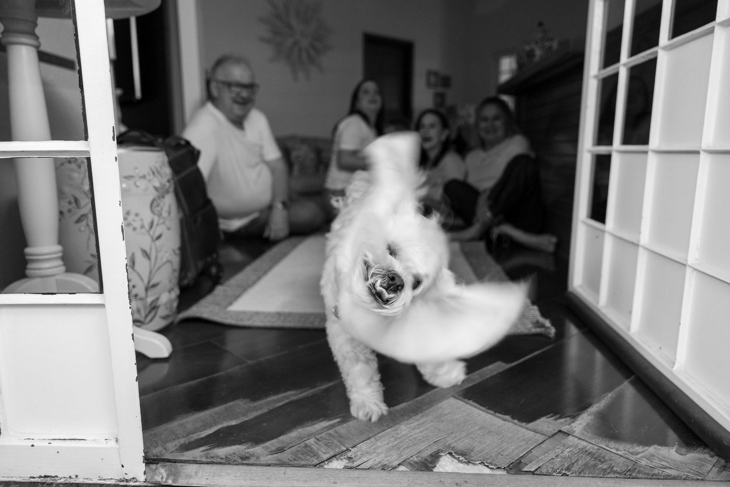 Black and white sequence showing a dog playing and running through a hallway.
