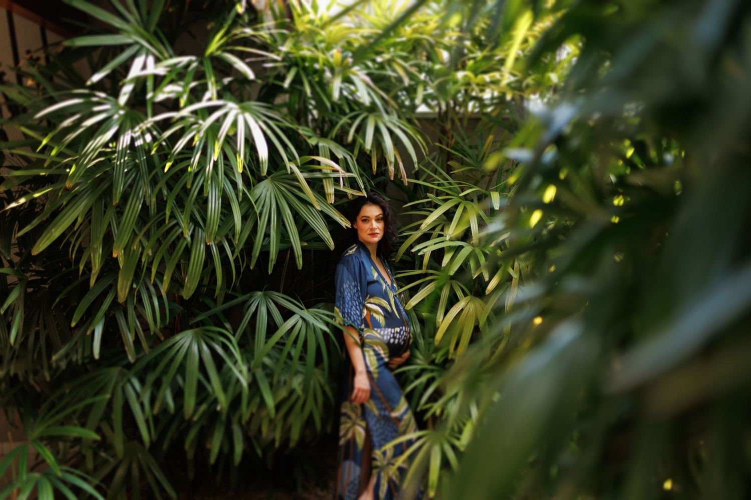 Lush tropical garden with palm fronds creating natural green patterns.