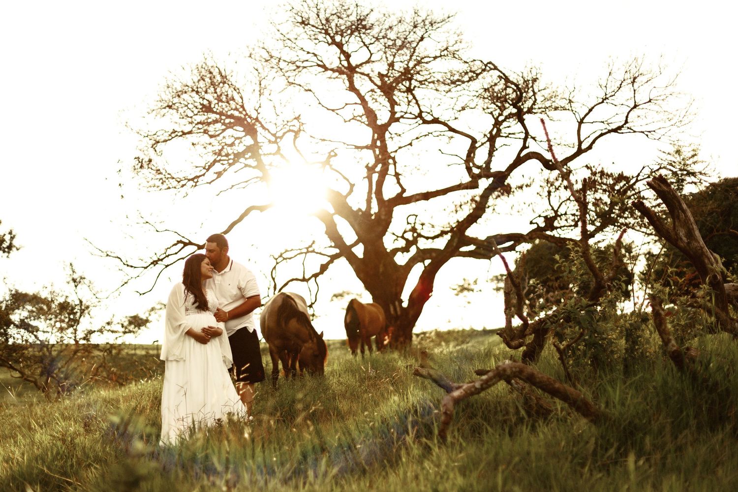 Silhouettes of trees at sunset create dramatic backdrop for outdoor photography.