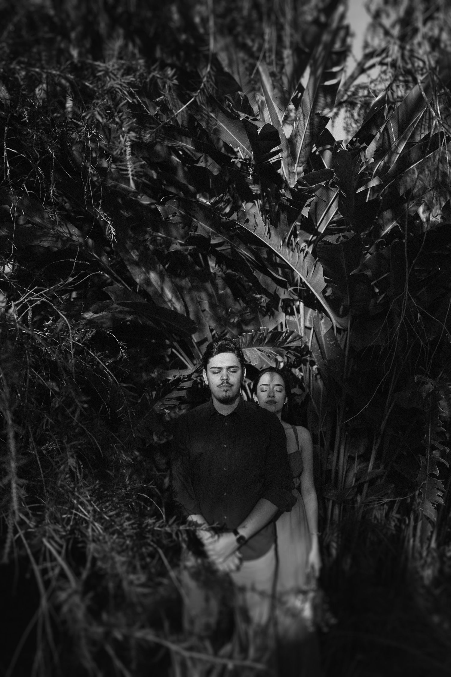Black and white portrait of a couple among lush tropical foliage.