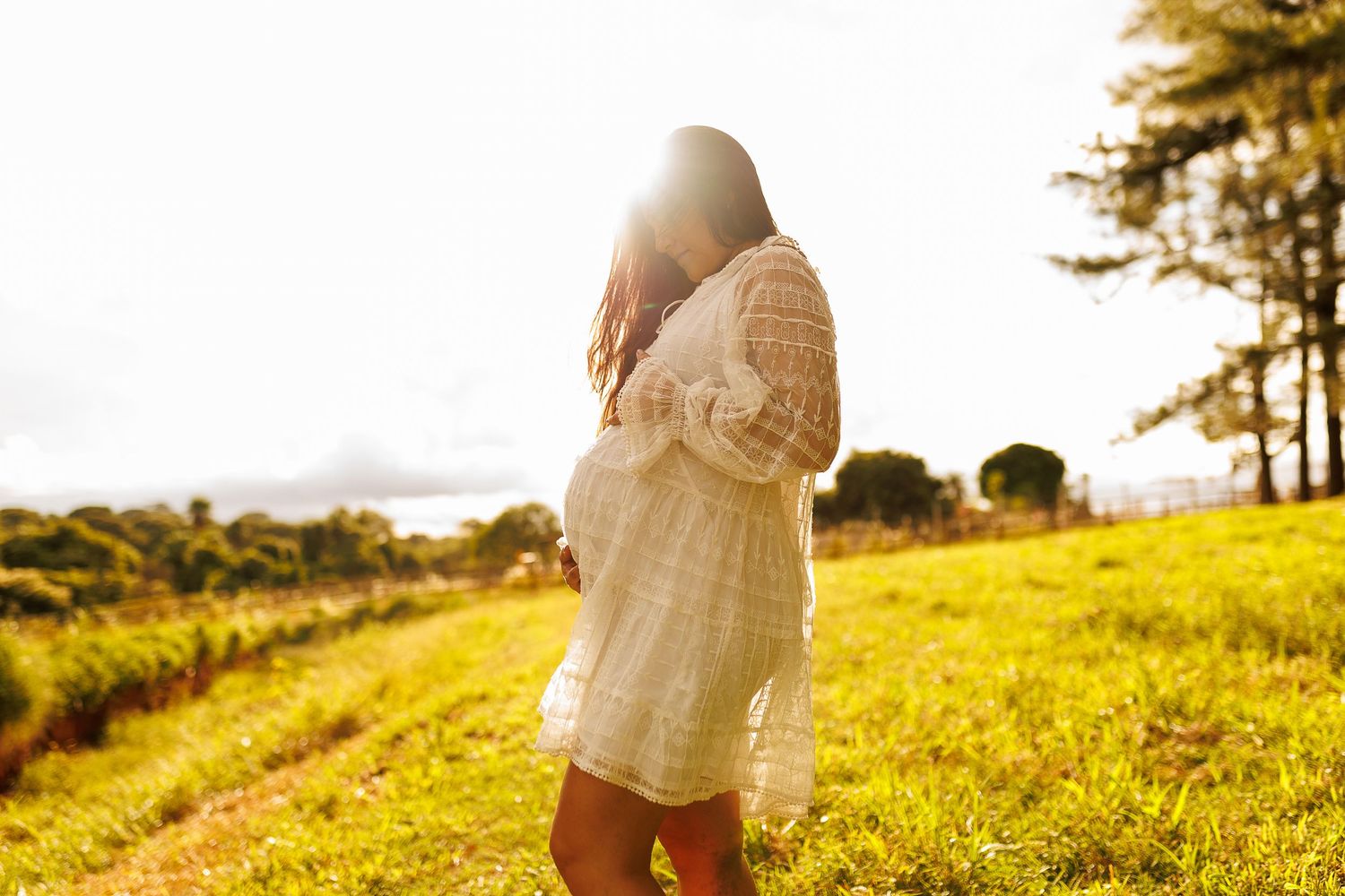 Dreamy outdoor photography in a sunlit field with tall grass and trees.