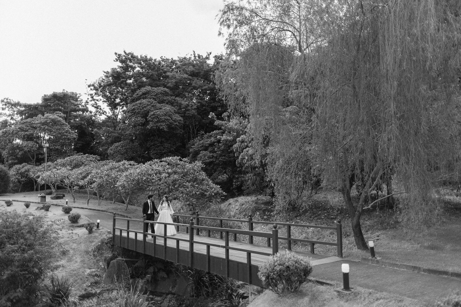 Peaceful park scene with weeping willows and wooden footbridge over still water.