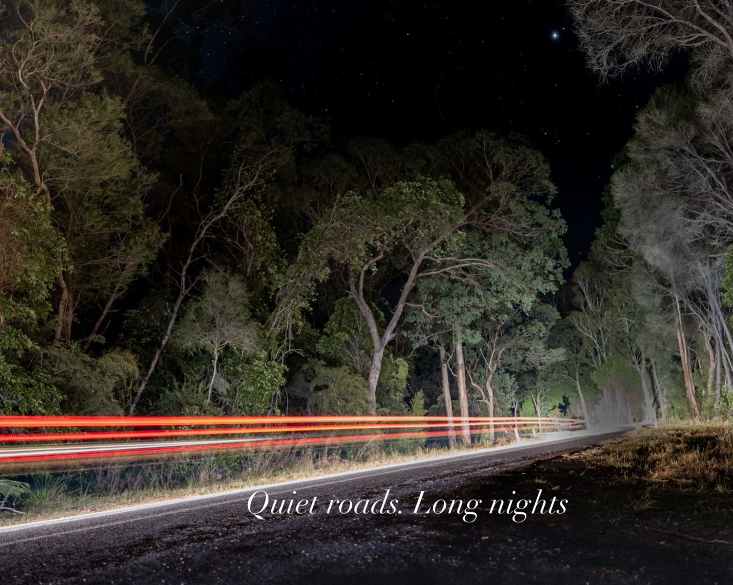 A quiet forest road at night, streaked by red car trails under stars—motion cutting through the stillness of the Australian bush.