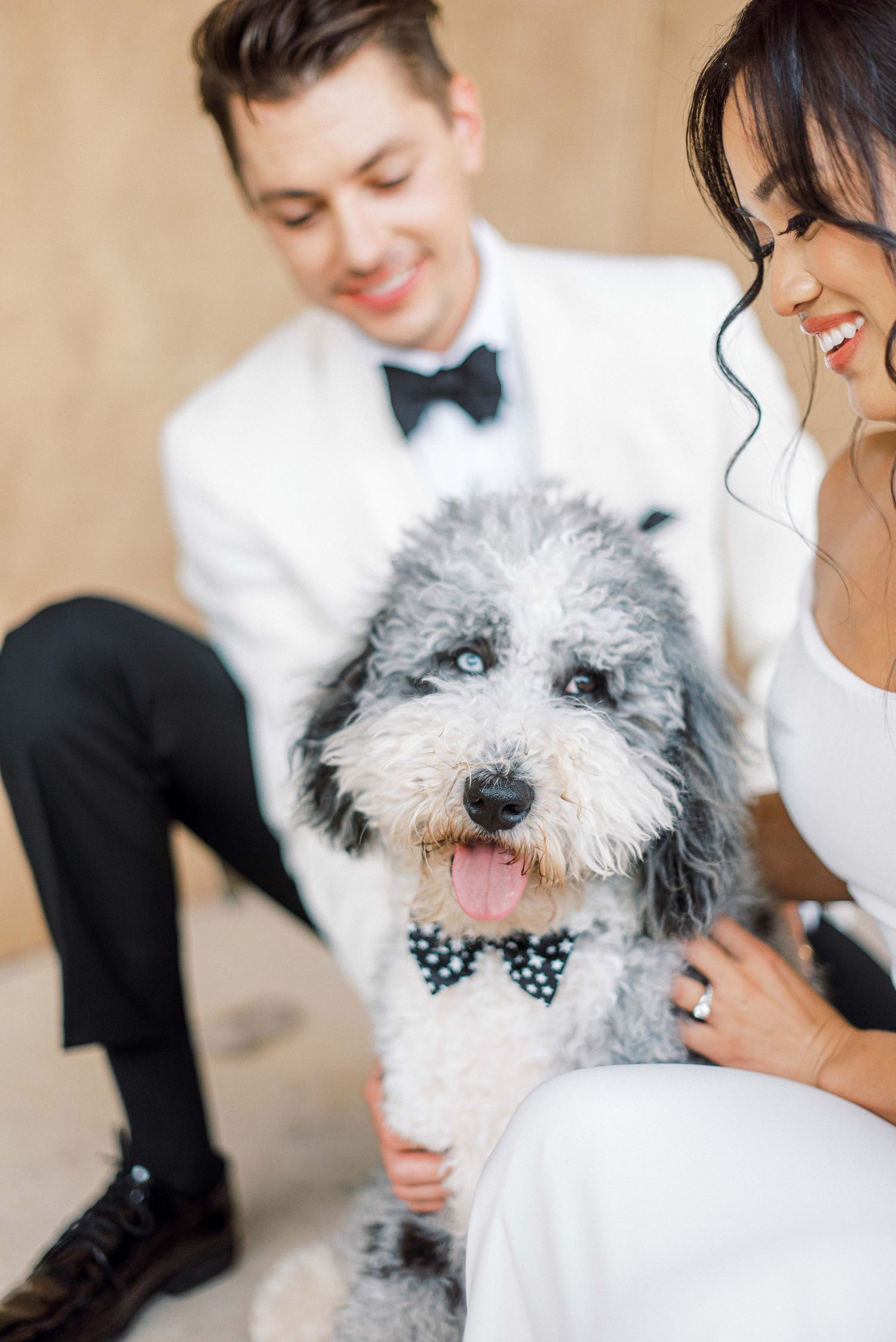 Adorable grey and white dog wearing bowtie poses with wedding couple.