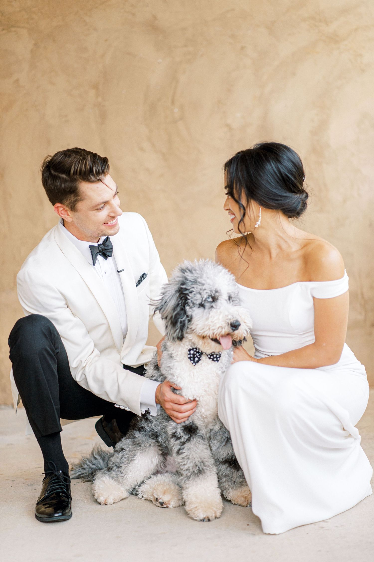 A couple in wedding attire sits with their fluffy gray and white dog wearing a bow tie against a neutral backdrop.  Wedding Photographer tx