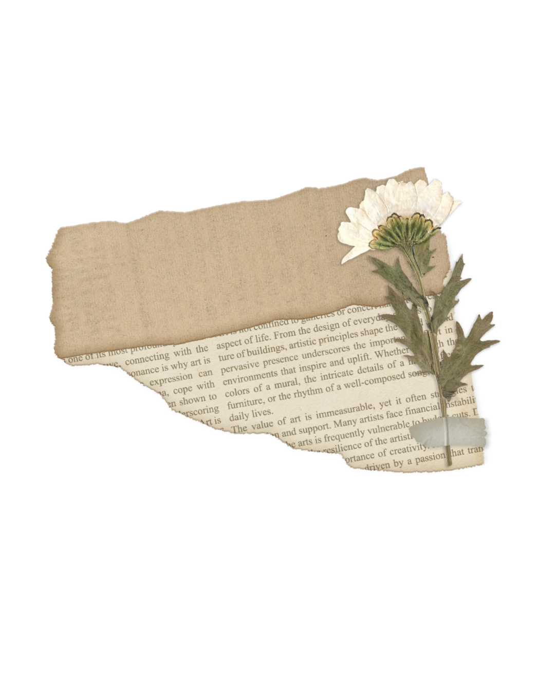 A torn piece of paper with text layered under burlap fabric and decorated with a white flower in a minimalist design.