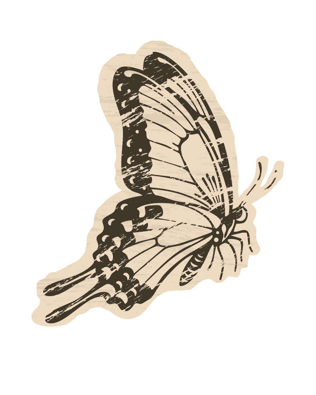 Vintage black and white illustration of a swallowtail butterfly with detailed wing patterns and markings.