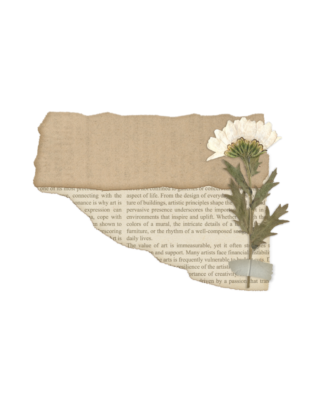 Torn pieces of yellowed paper with printed text and a small white flower against a white background.