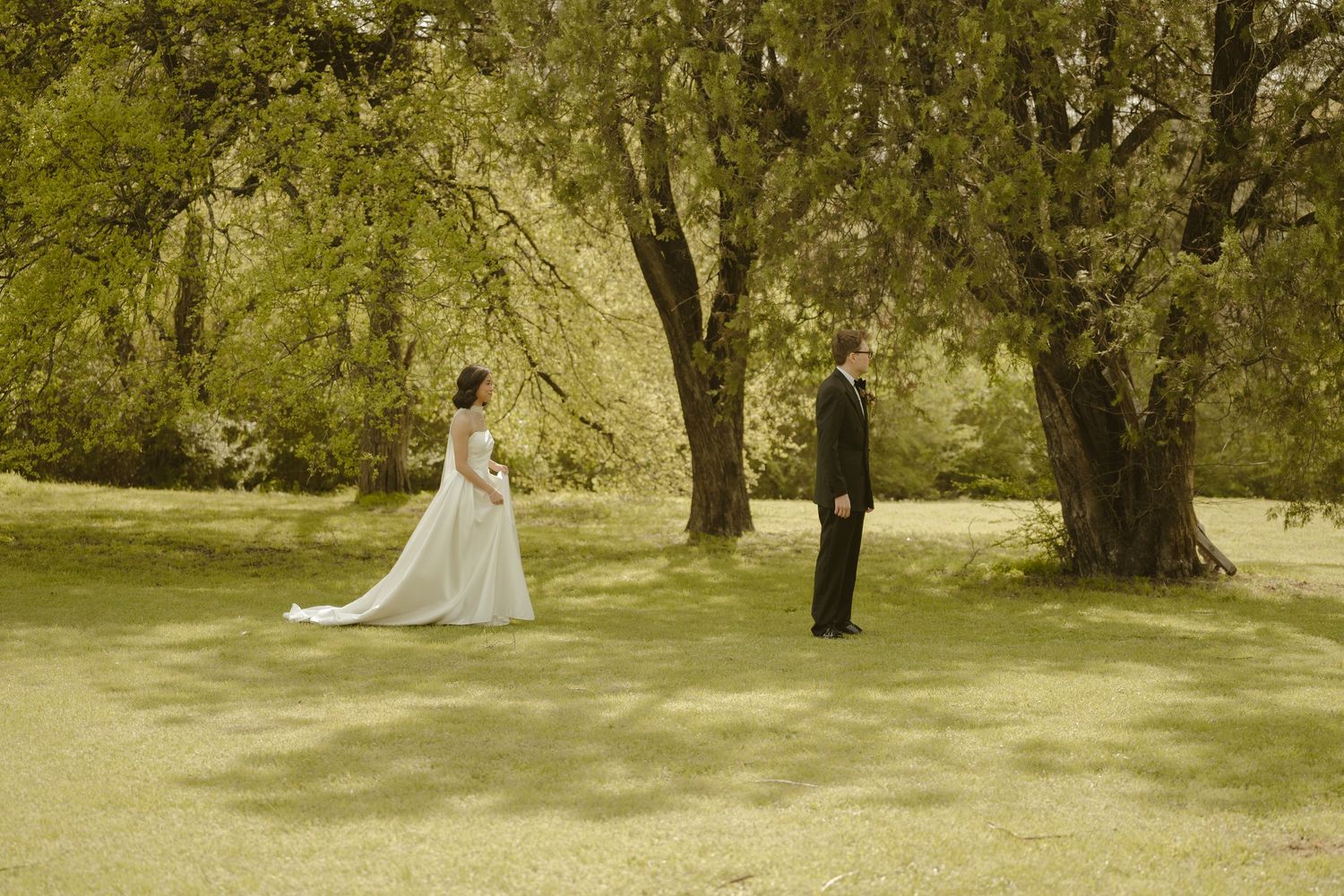 Bride in white gown and groom in black suit stand apart in a lush green park surrounded by large trees.