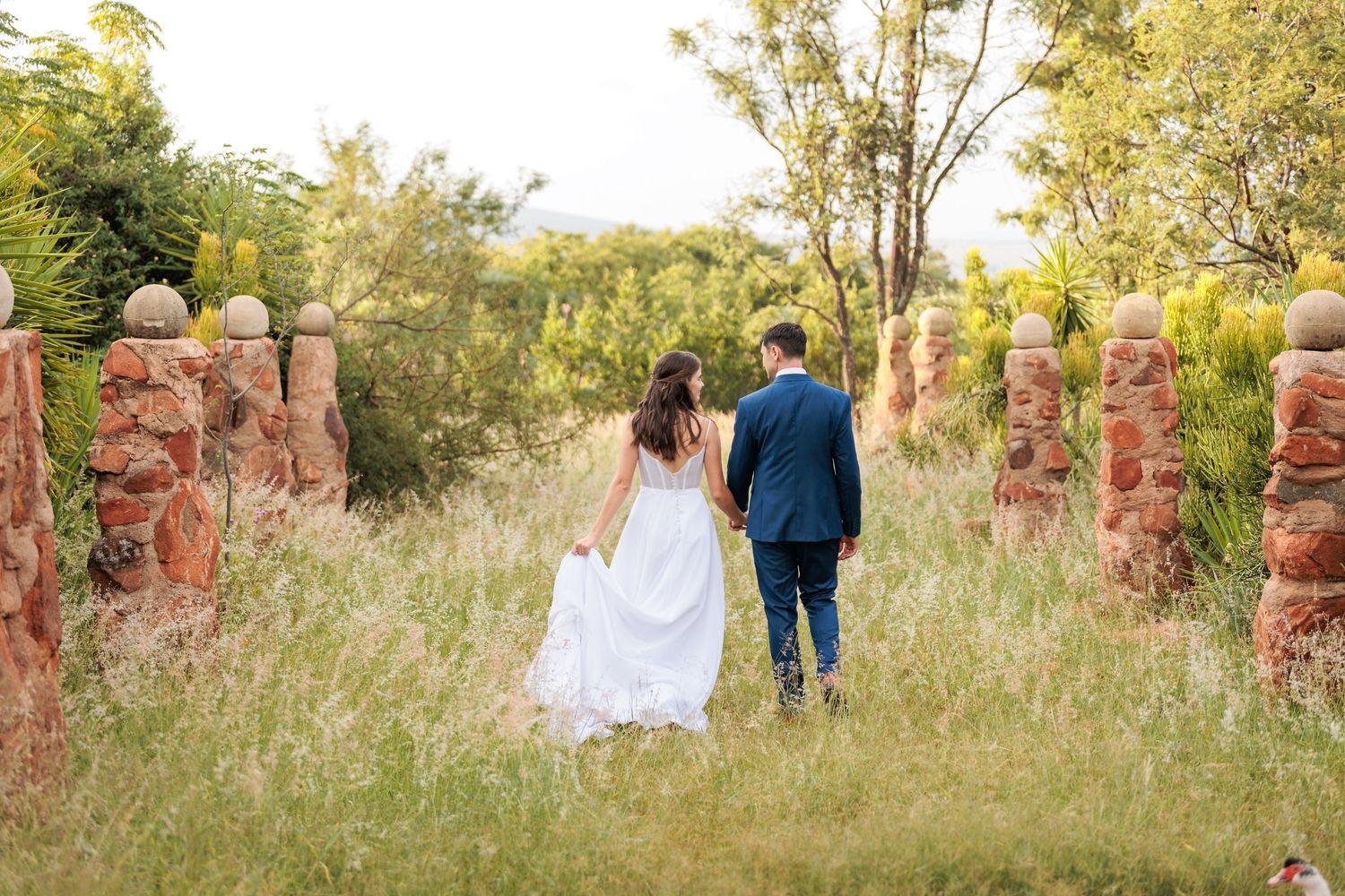 Couple walks hand in hand through a sunlit field with golden grass.