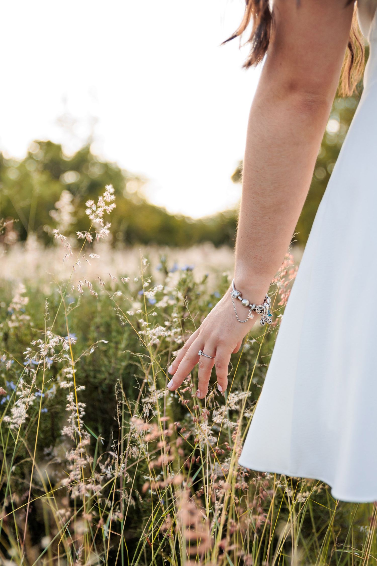 Hand gently touching delicate white wildflowers in a sunlit meadow during golden hour.
