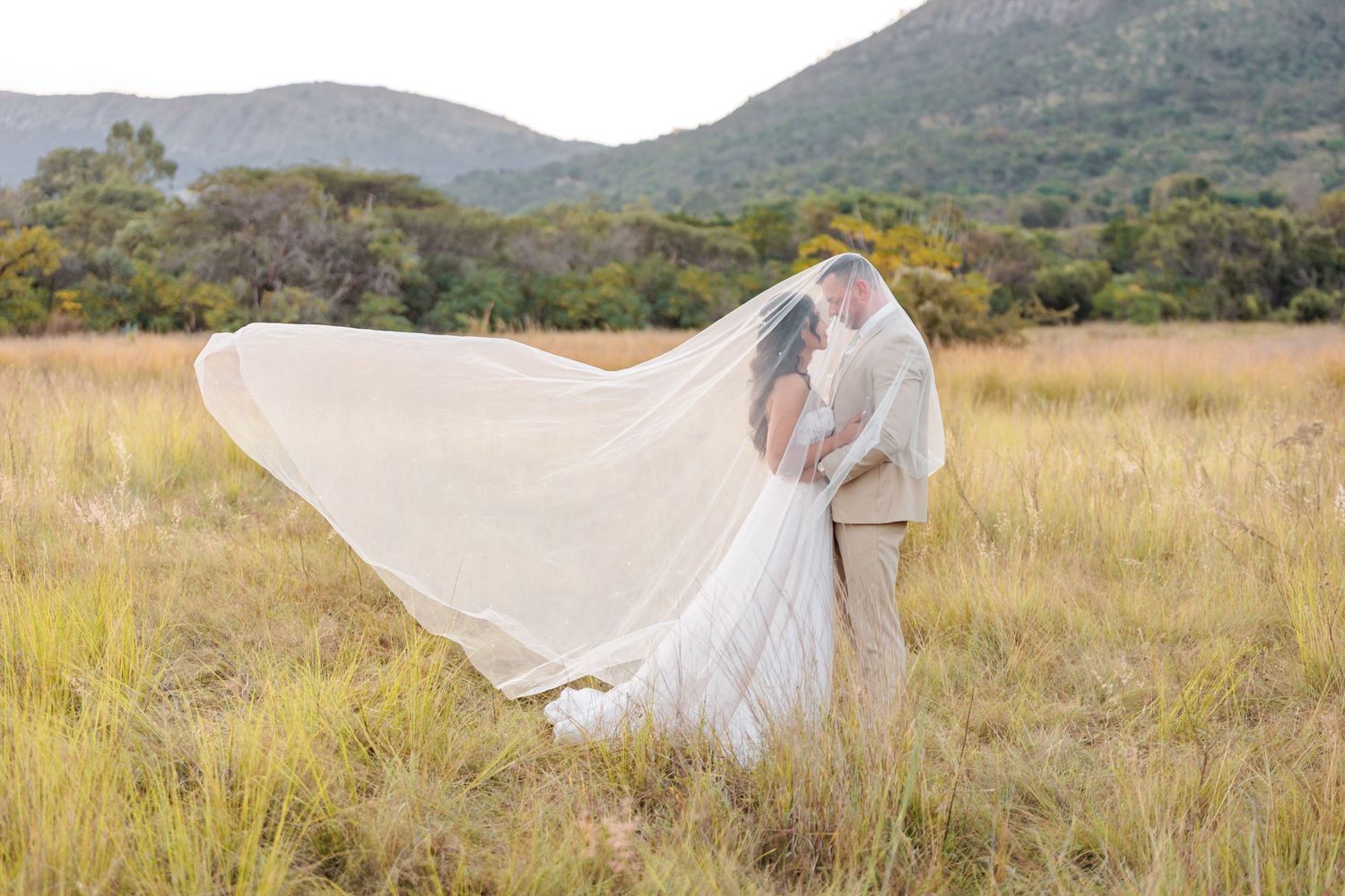 Bride and groom kissing in golden field, wedding veil flowing in wind, mountains in background.