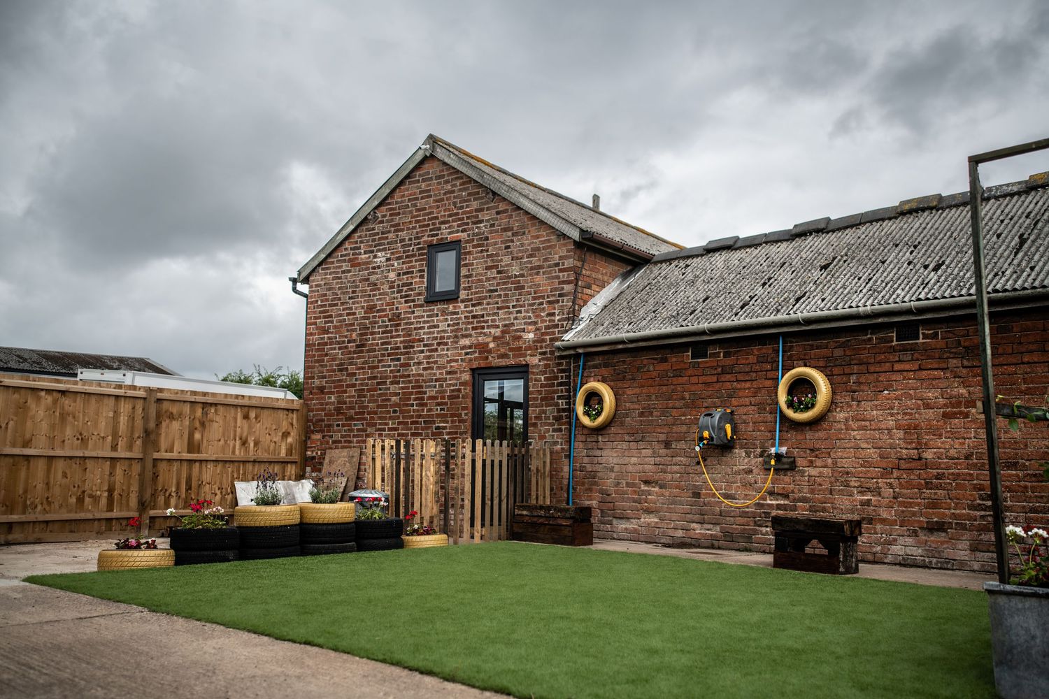 dog photographer, dog photography, king's lynn photographer, norfolk dog photoographer