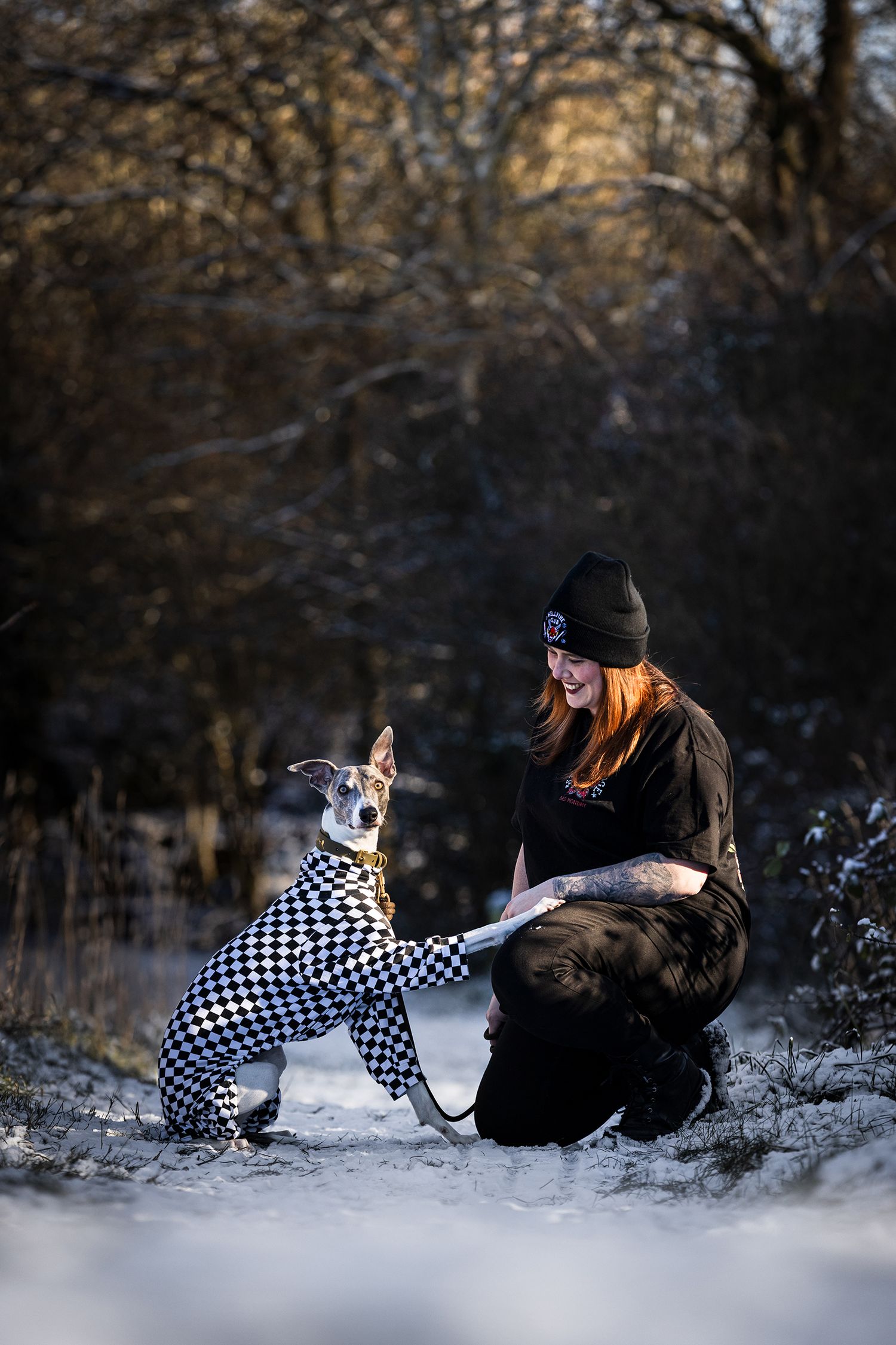 dog photographer, dog photography, king's lynn photographer, norfolk dog photoographer