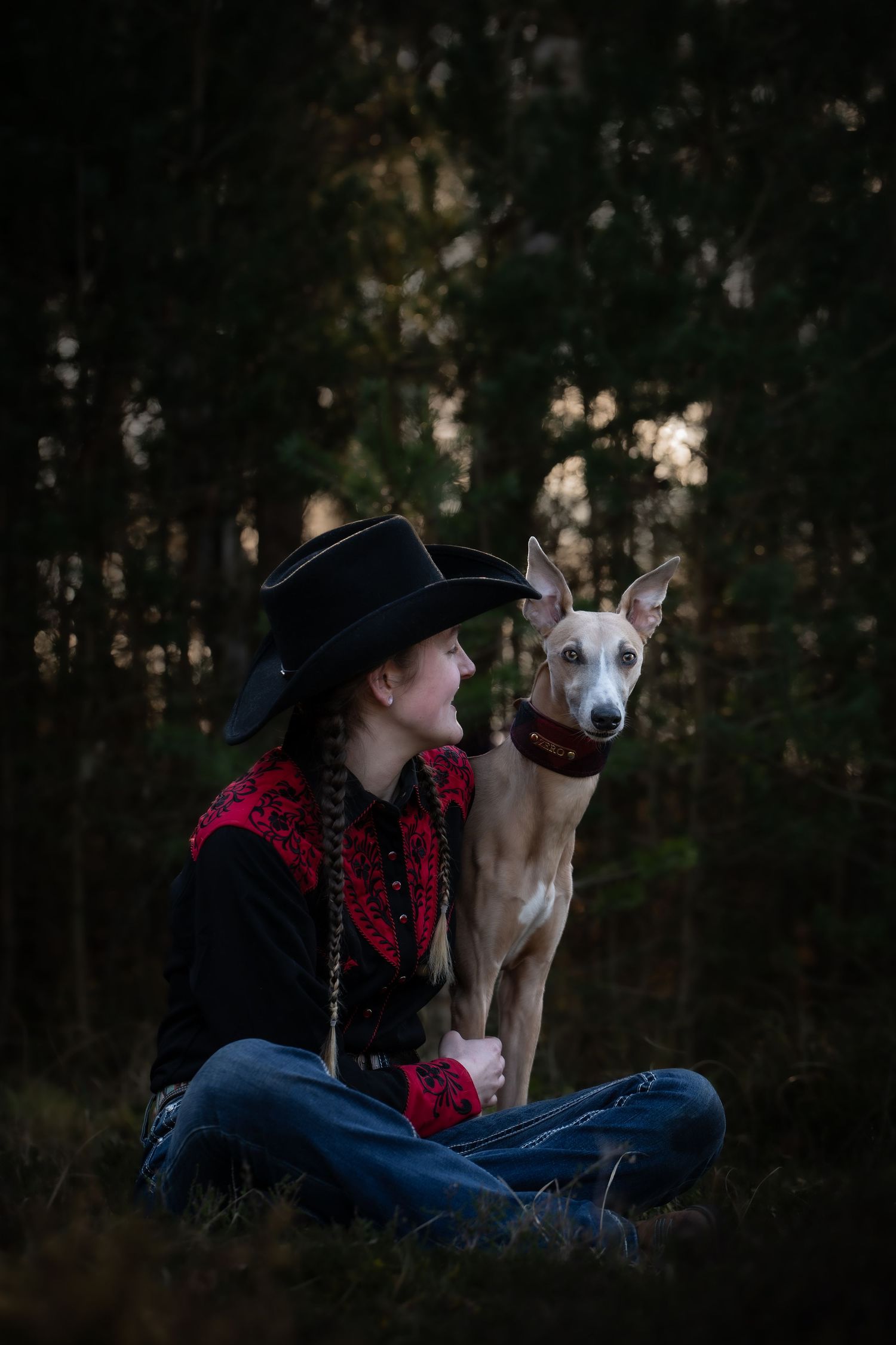 dog photographer, dog photography, king's lynn photographer, norfolk dog photoographer