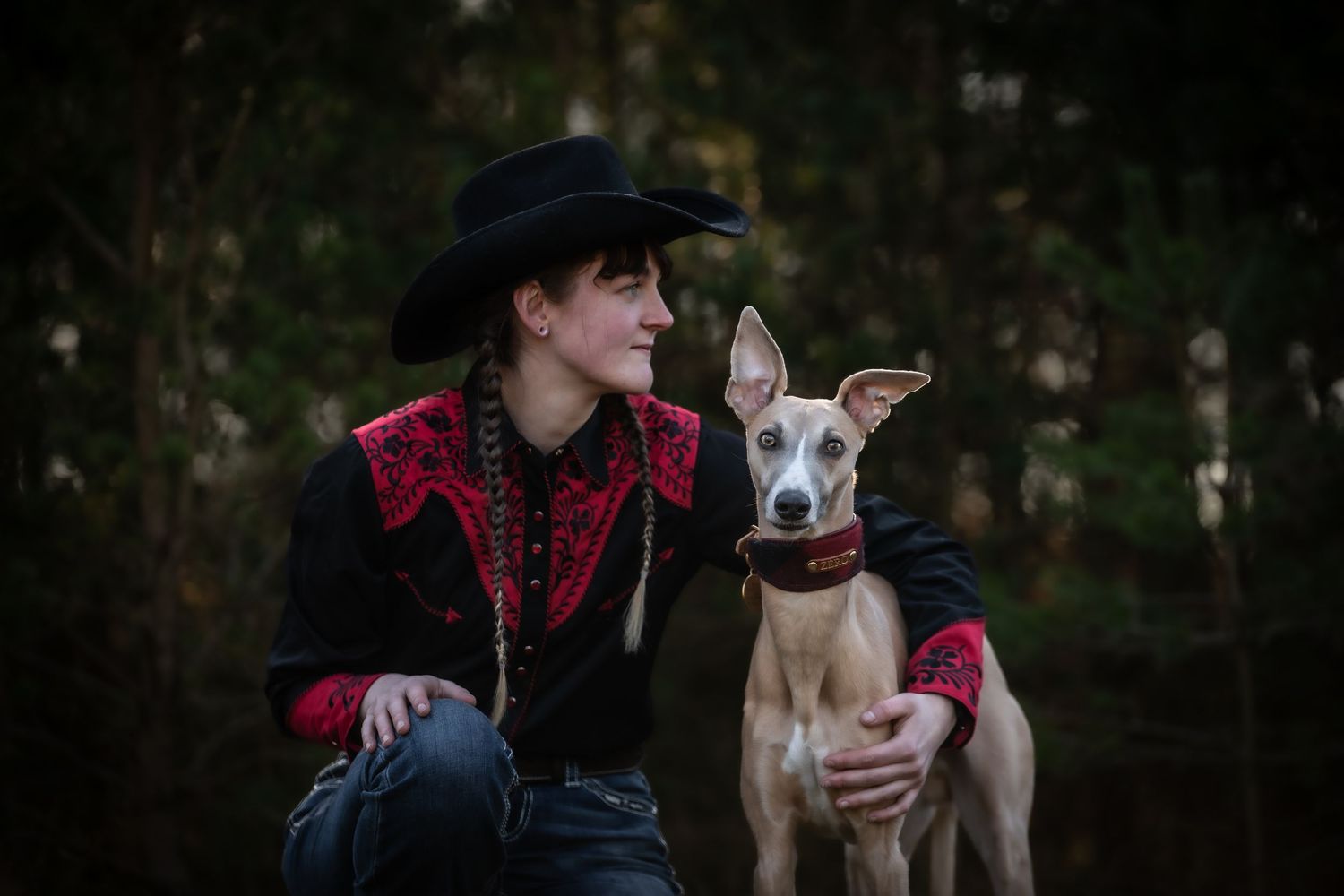 dog photographer, dog photography, king's lynn photographer, norfolk dog photoographer