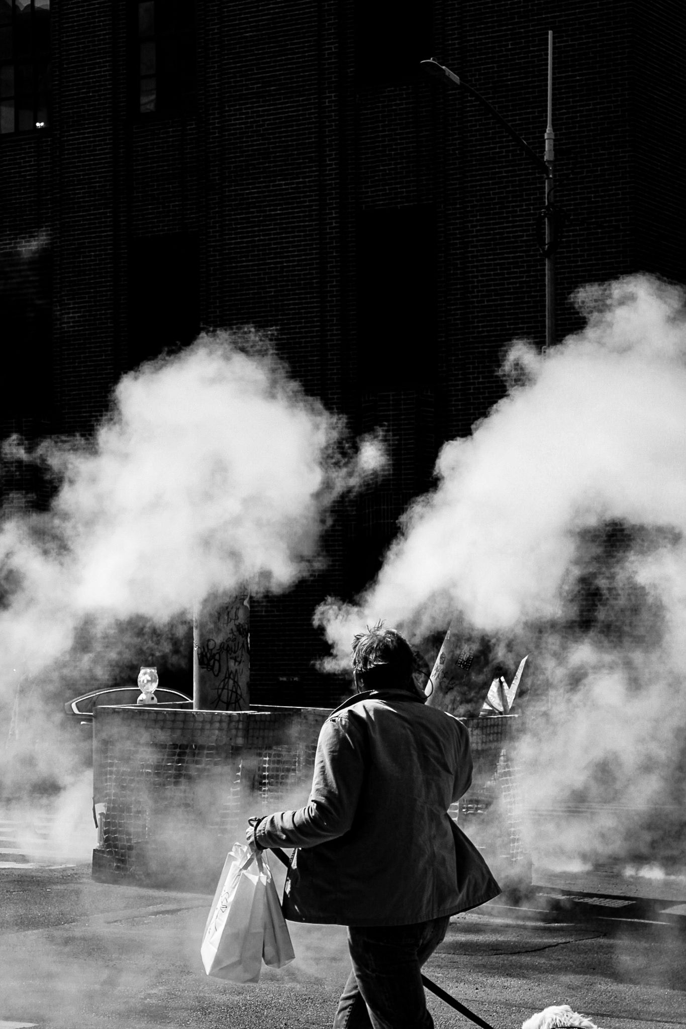Black and white street scene of a man walking his dog in Tribeca, New York City, with steam rising from the streets