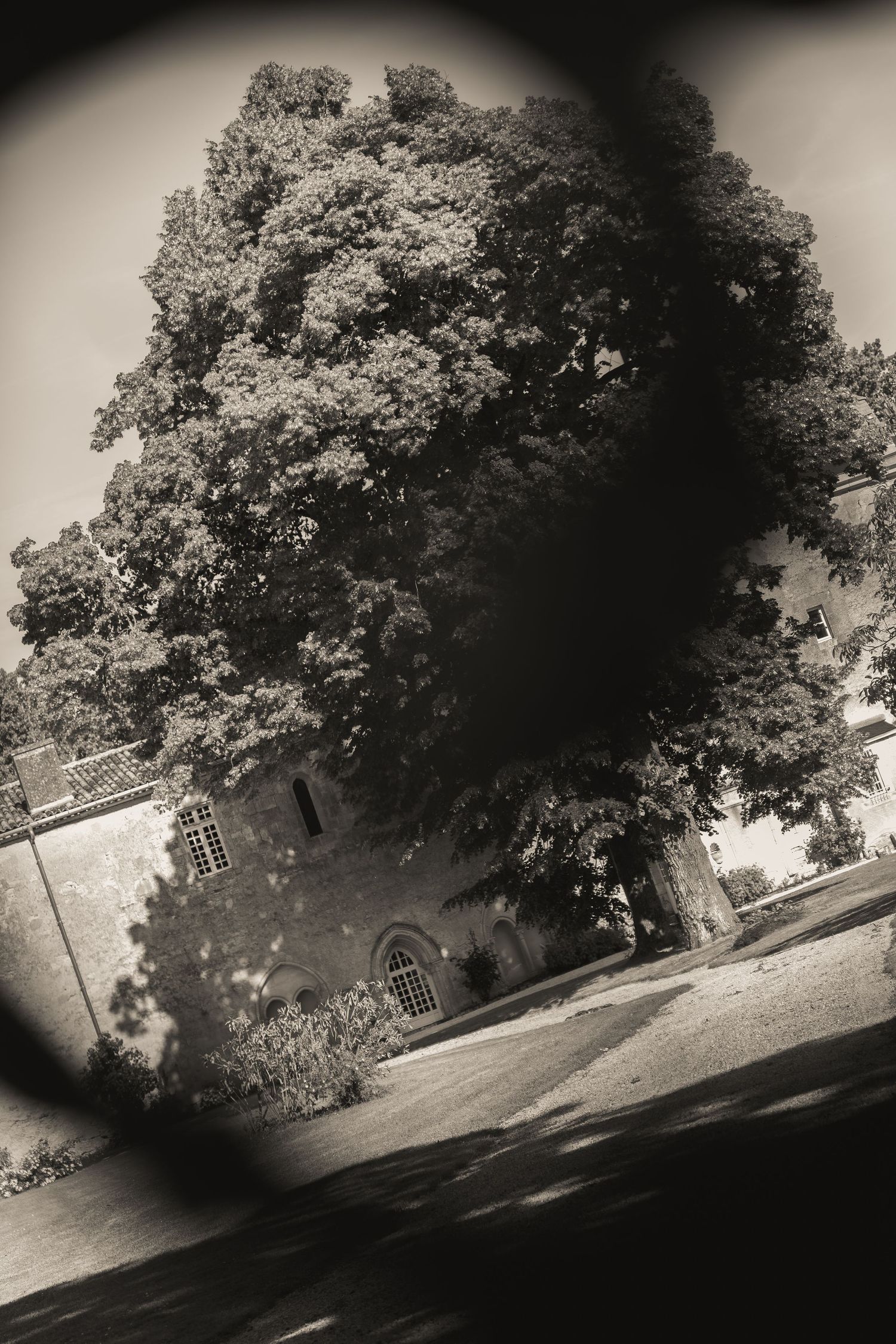 Black and white photograph of Abbaye de la Grâce-Dieu wedding venue