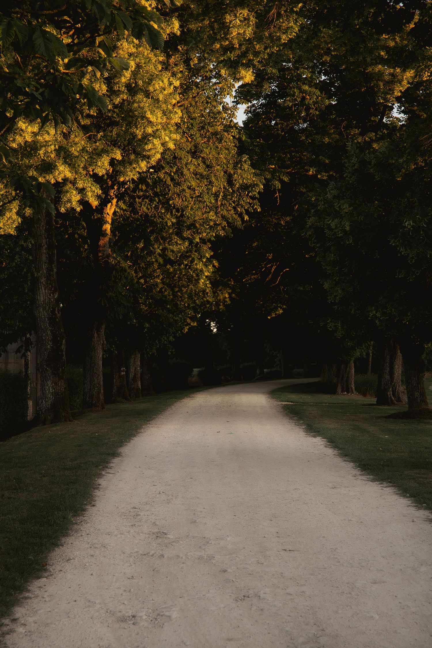 Elegant wedding venue driveway at sunset, captured in an editorial wedding photography style.