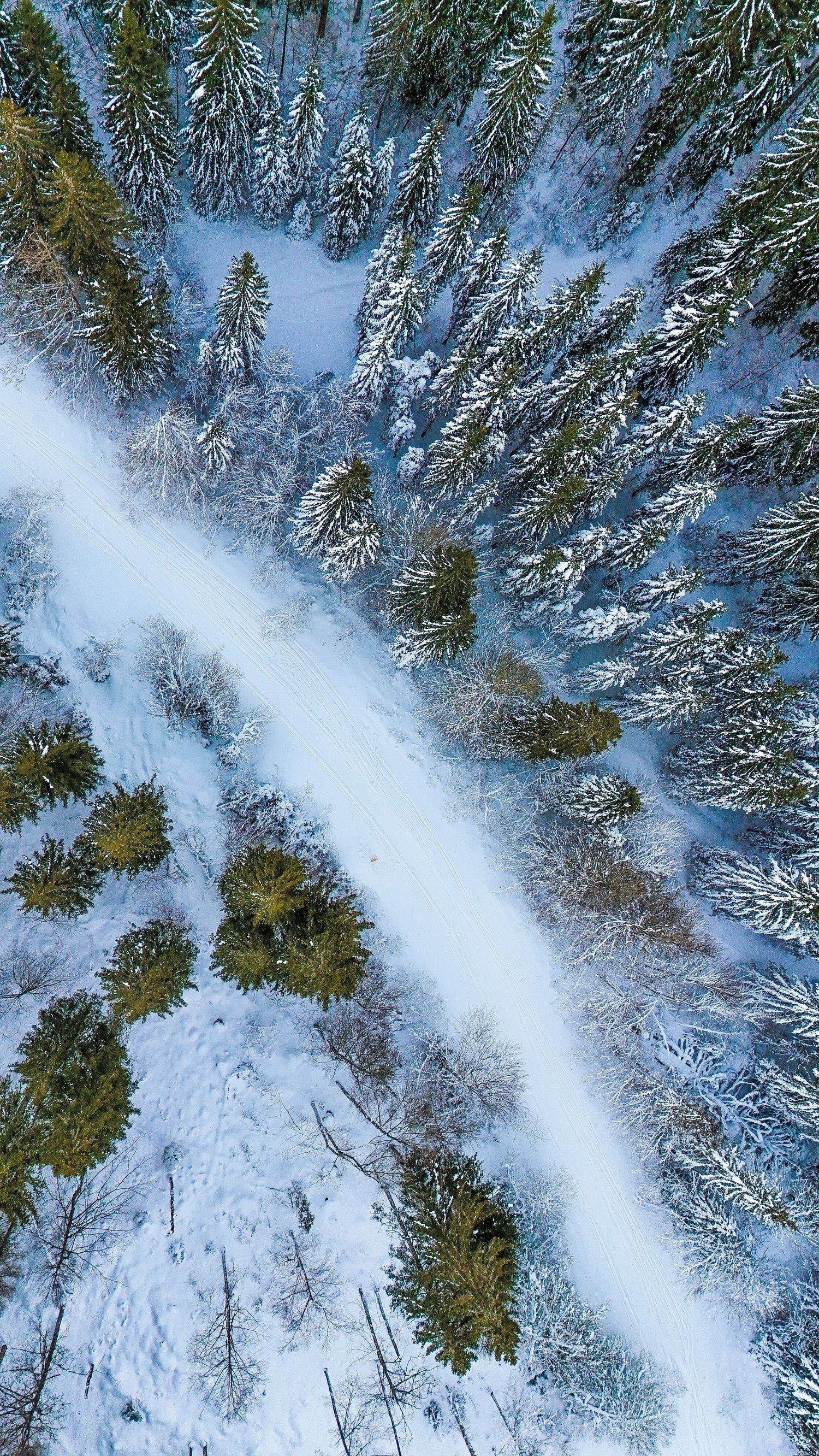 Aerial drone view of a travel destination, dramatic landscape, natural colors, cinematic composition capturing the beauty of the world.