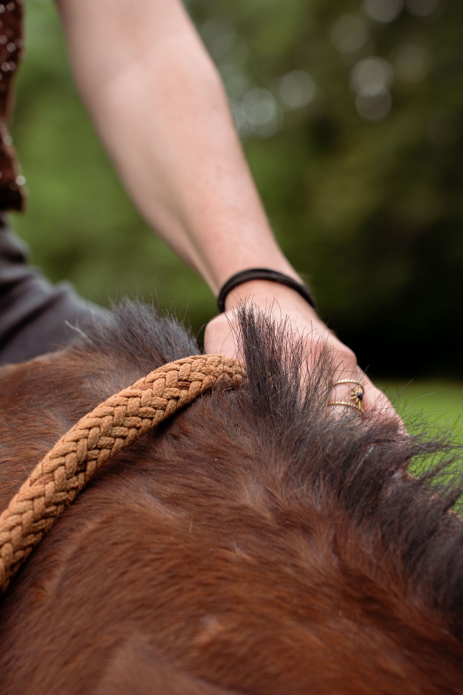 Young woman with her horse in natural landscape, soft light, authentic connection between human and animal, peaceful and emotional atmospher