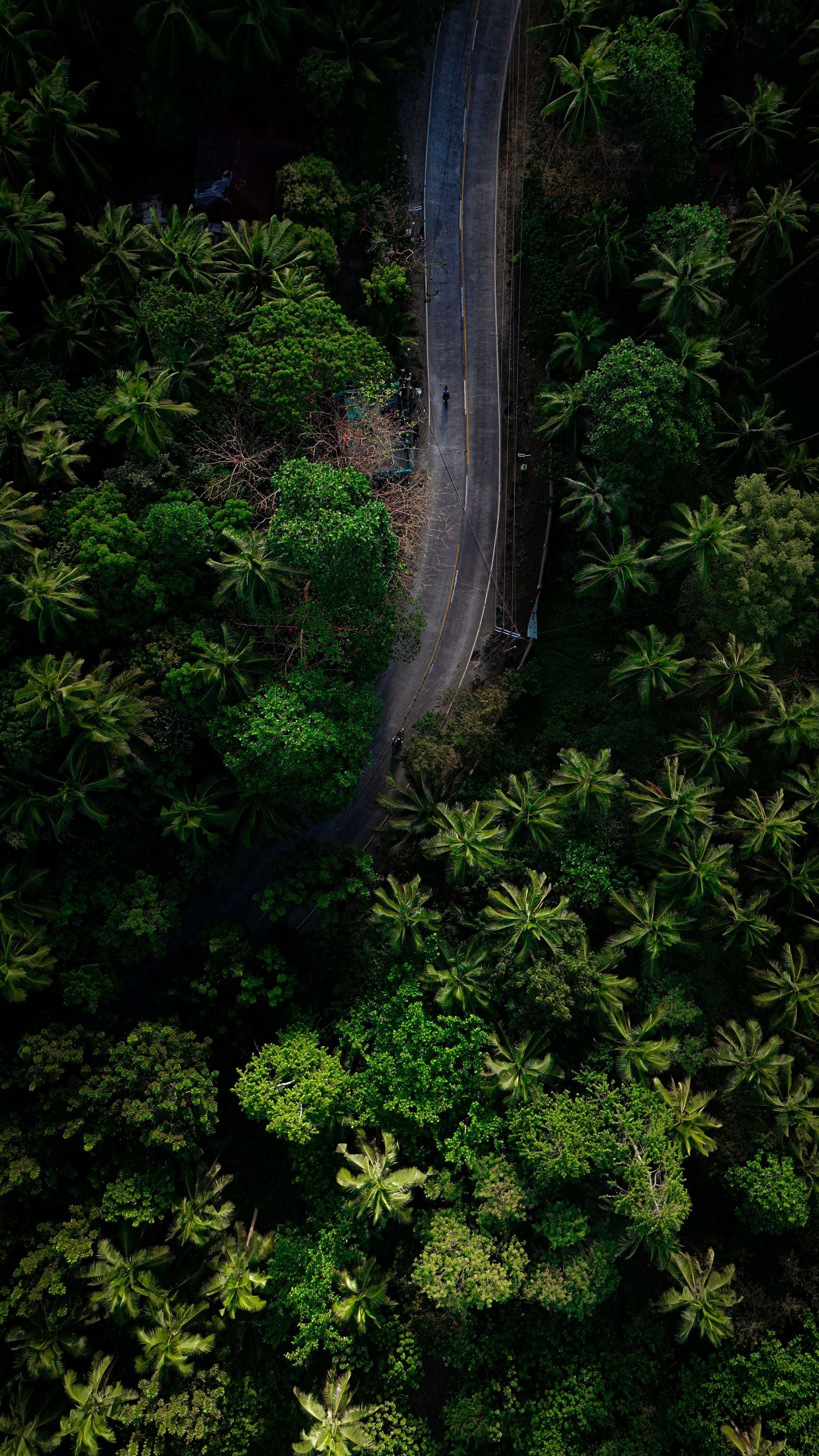 Aerial drone view of a travel destination, dramatic landscape, natural colors, cinematic composition capturing the beauty of the world.