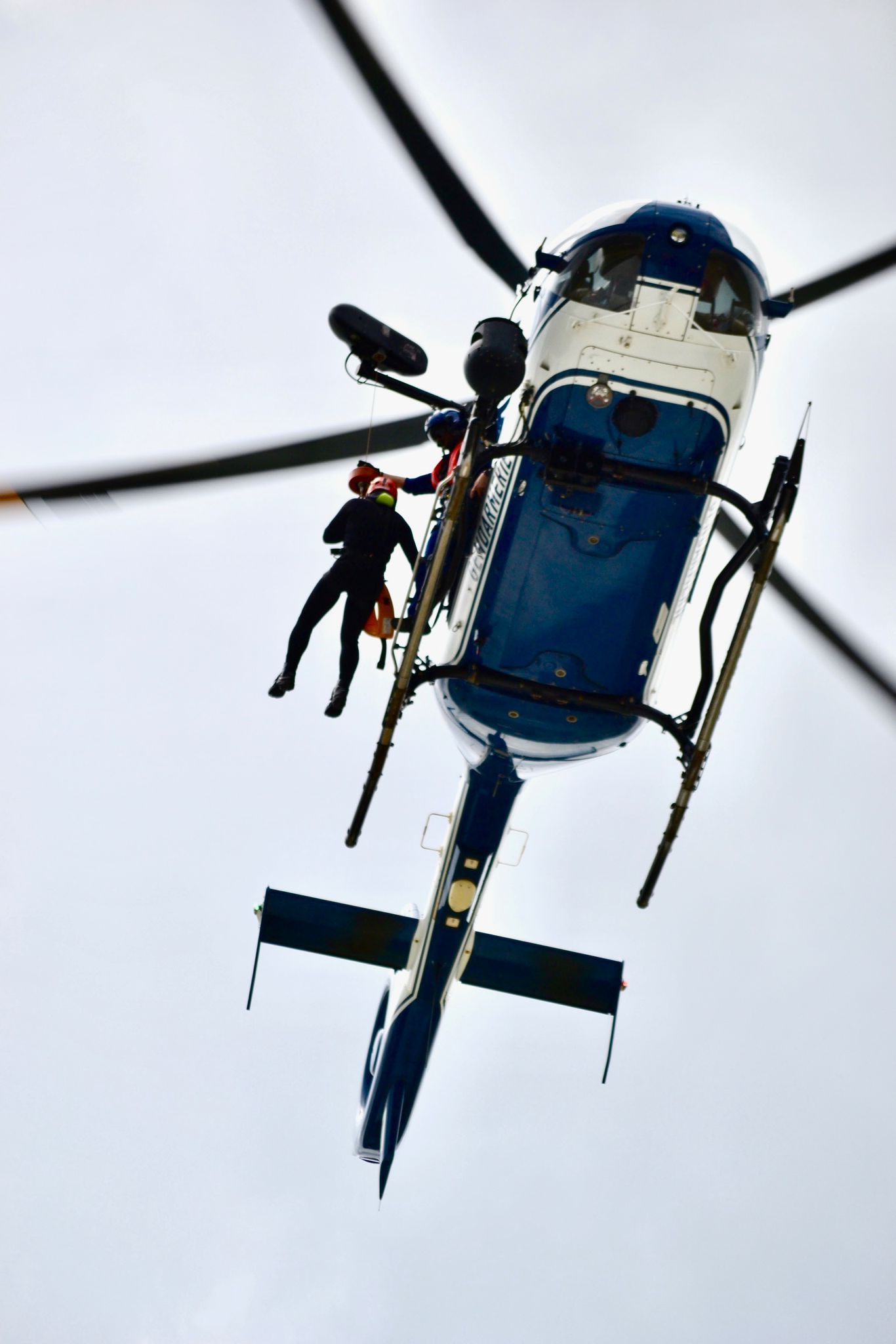 Professional photography of gendarmerie officers during training exercise, dynamic action, teamwork and intensity captured in natural light.