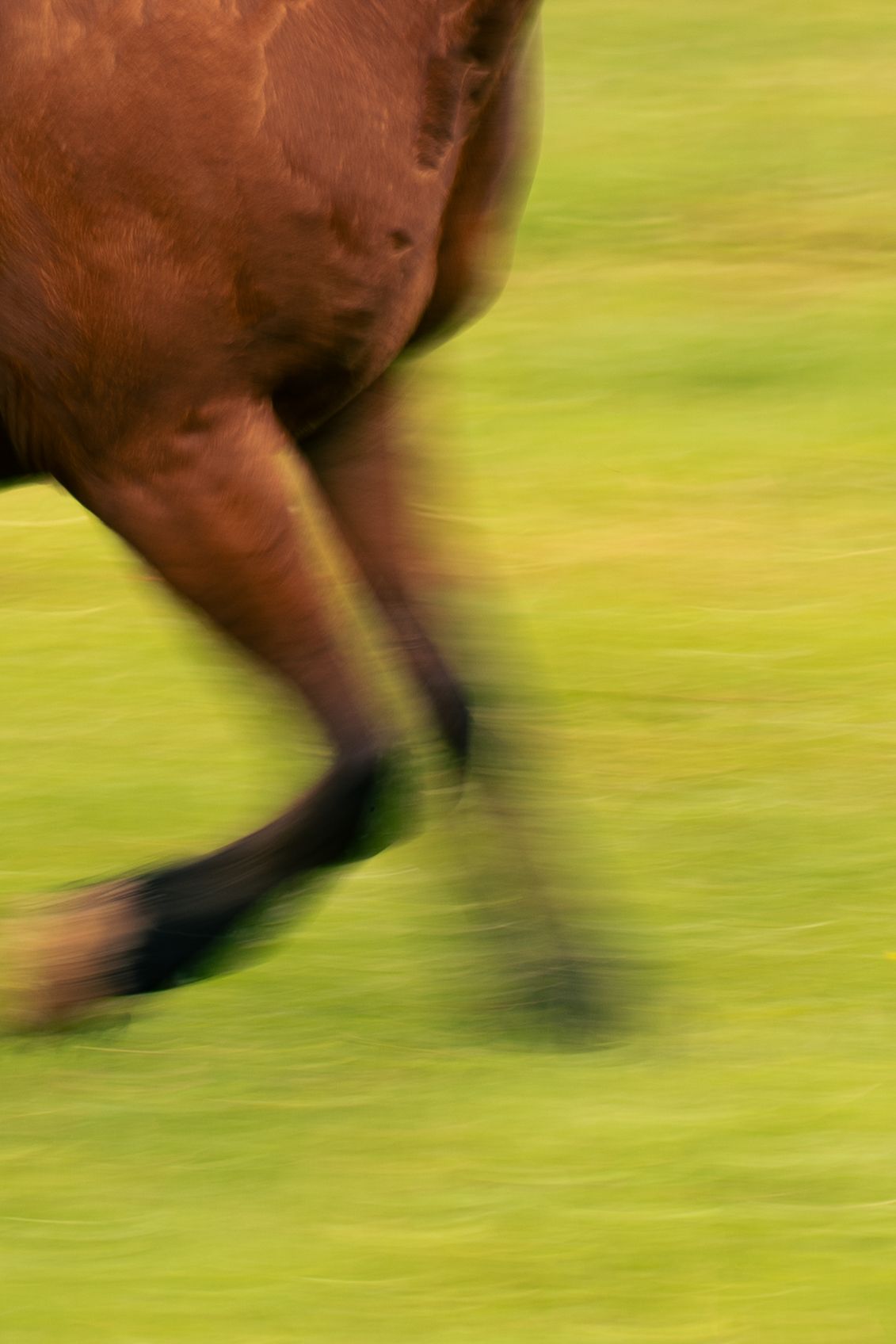 Young woman with her horse in natural landscape, soft light, authentic connection between human and animal, peaceful and emotional atmospher