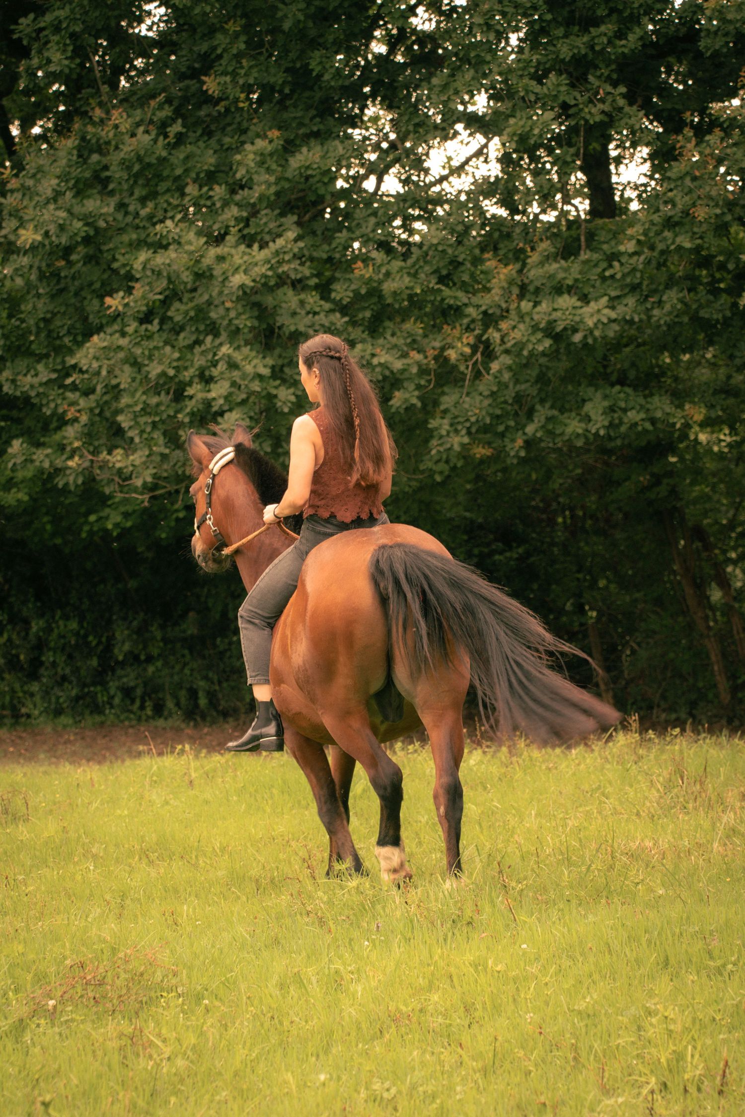 Young woman with her horse in natural landscape, soft light, authentic connection between human and animal, peaceful and emotional atmospher