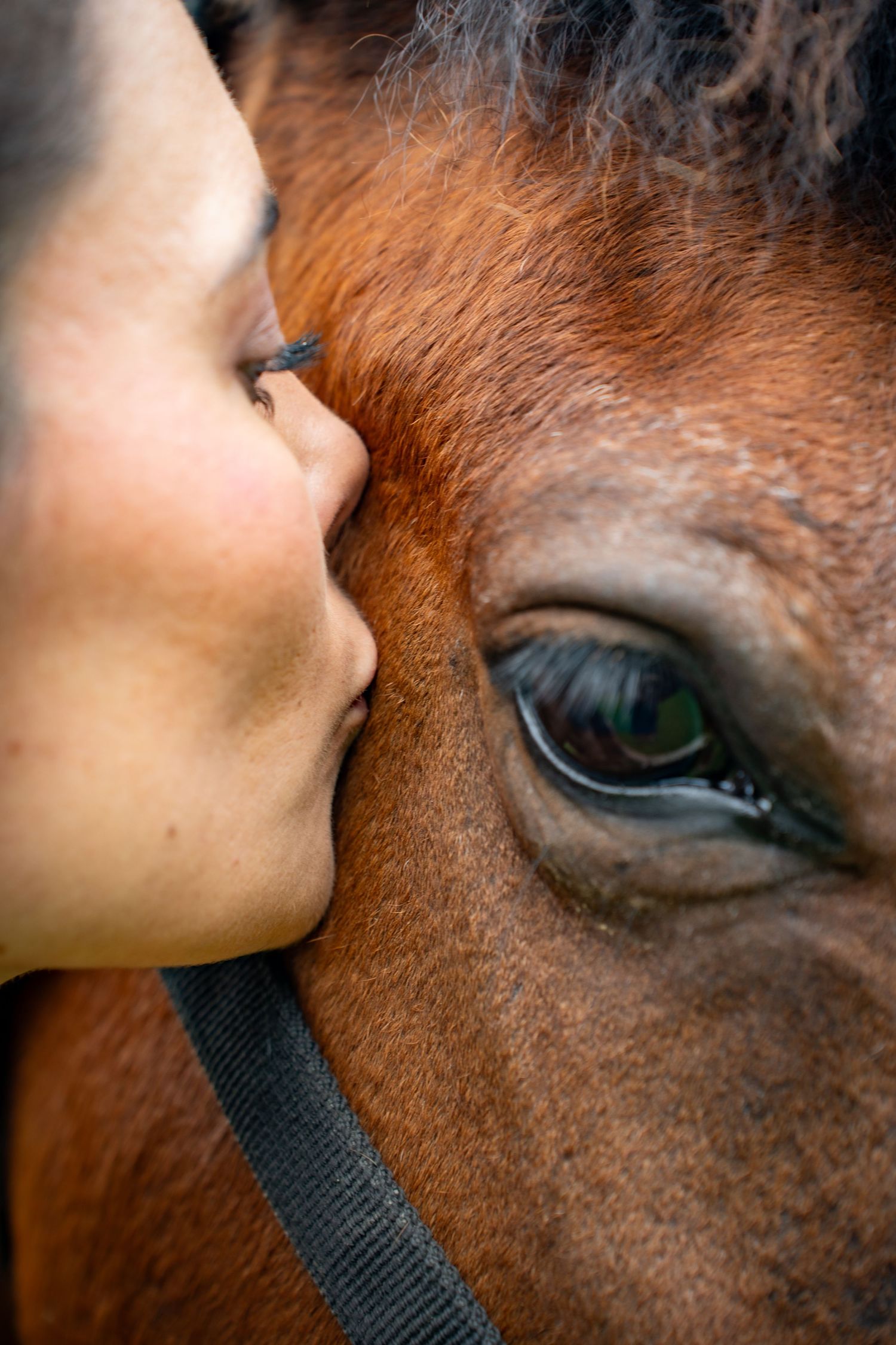 Young woman with her horse in natural landscape, soft light, authentic connection between human and animal, peaceful and emotional atmospher