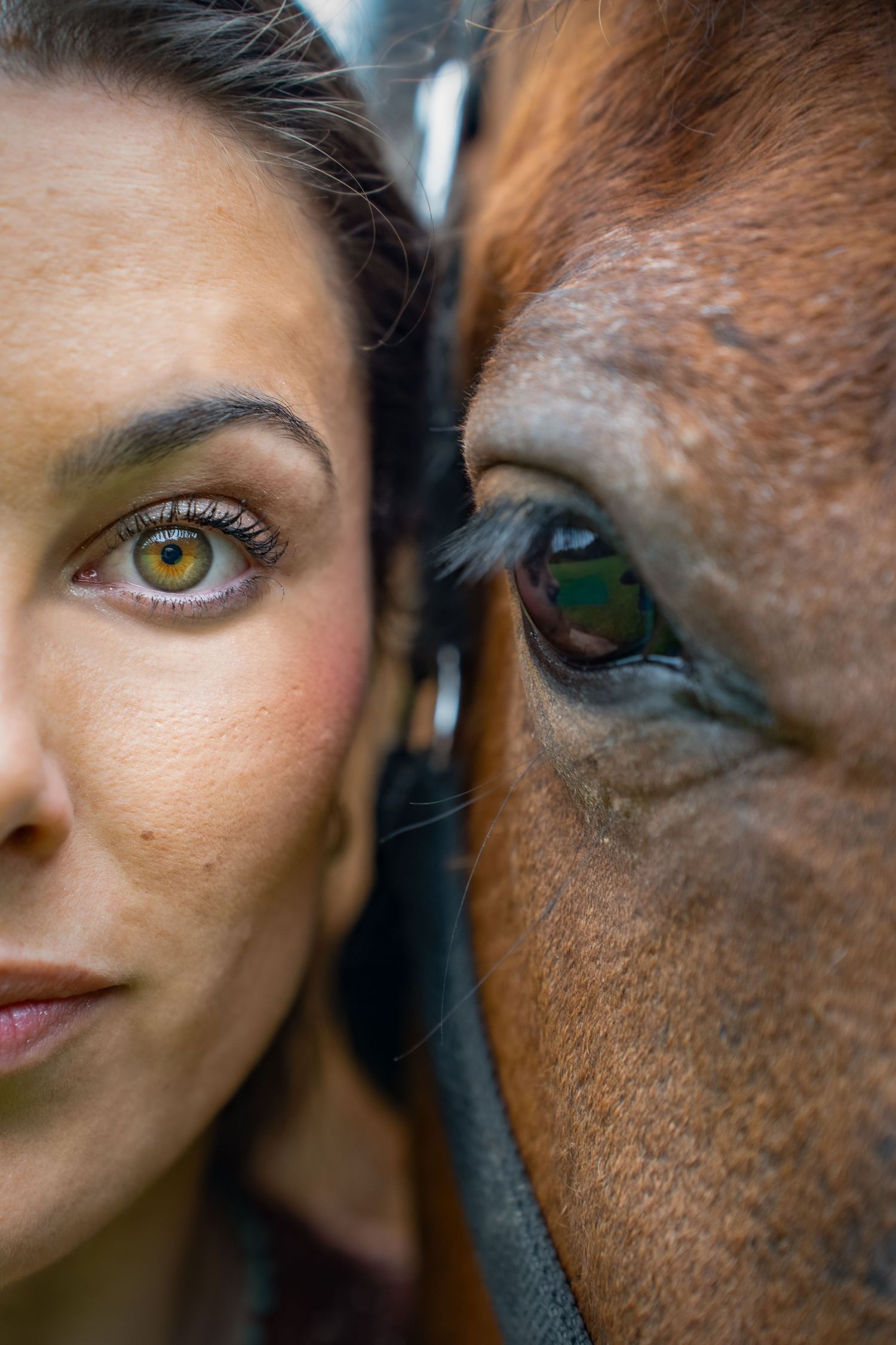 Young woman with her horse in natural landscape, soft light, authentic connection between human and animal, peaceful and emotional atmospher