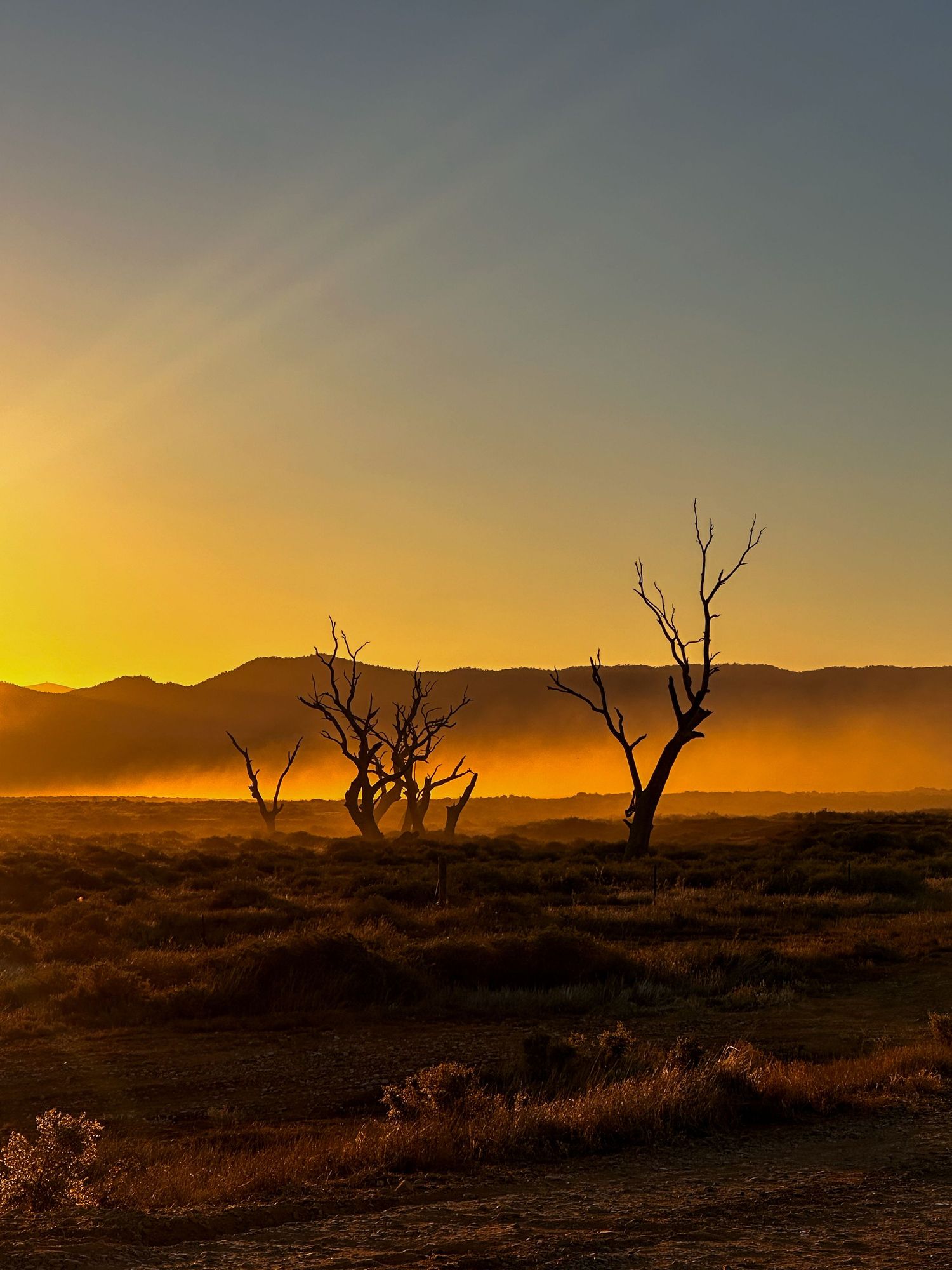Travel photography capturing authentic moments, landscapes and culture, warm light and emotional storytelling atmosphere.