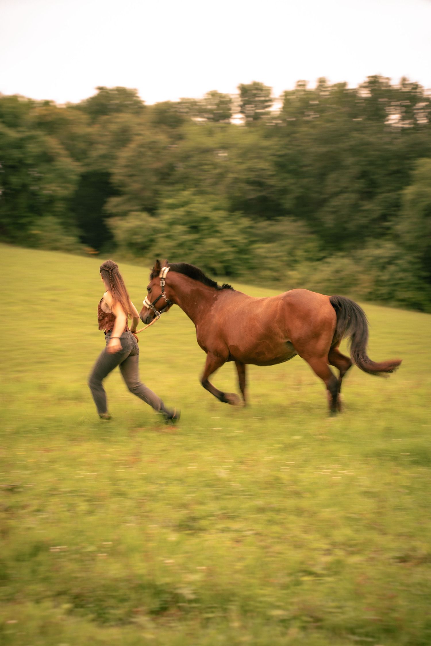 Young woman with her horse in natural landscape, soft light, authentic connection between human and animal, peaceful and emotional atmospher