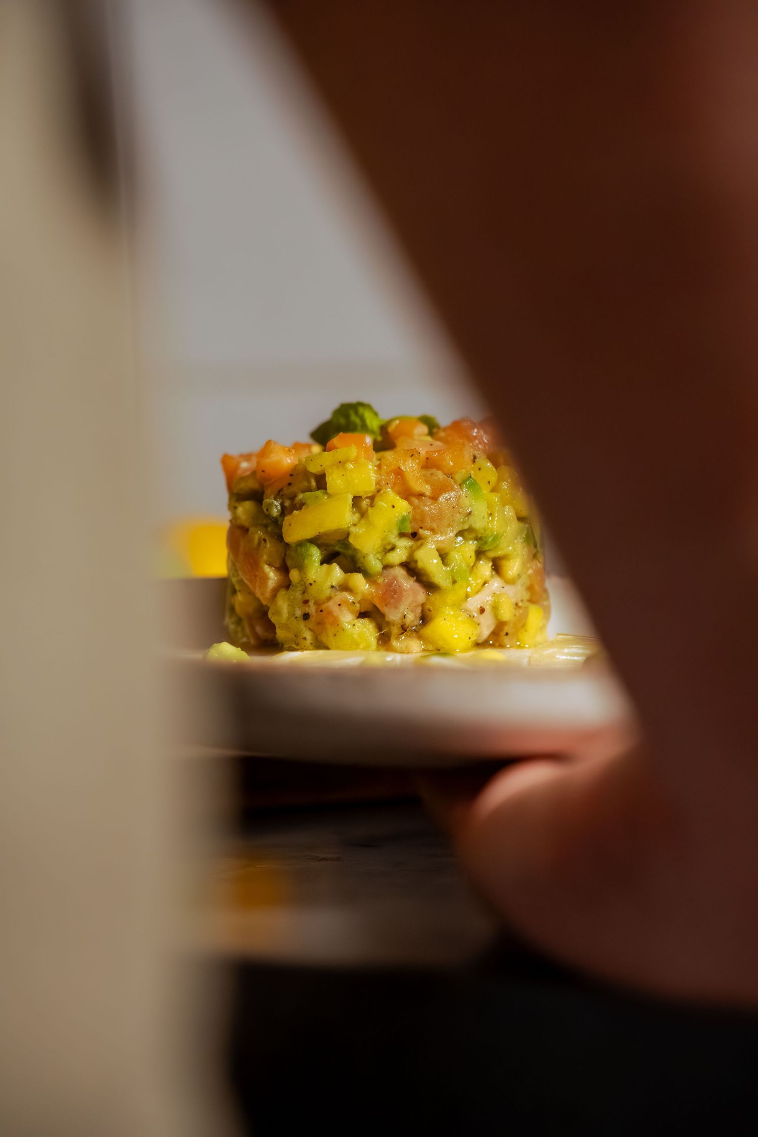 Culinary photography of an elegant dish with professional studio lighting, refined presentation, controlled light and artistic food styling.