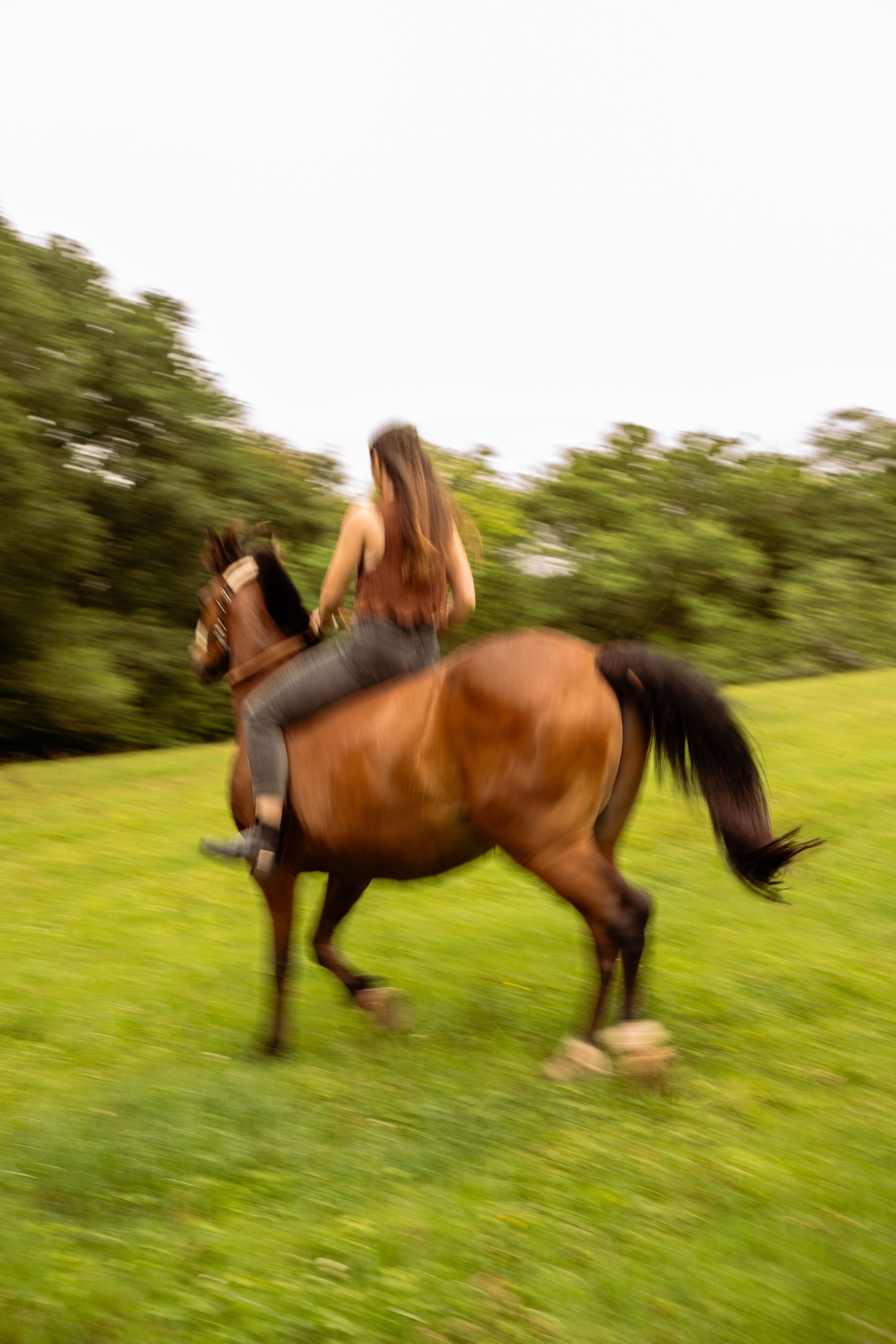 Young woman with her horse in natural landscape, soft light, authentic connection between human and animal, peaceful and emotional atmospher