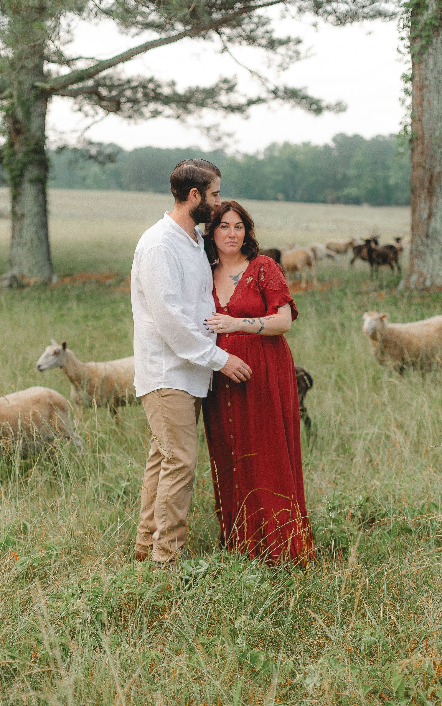 A couple shares a romantic moment in a field with sheep grazing in the background.