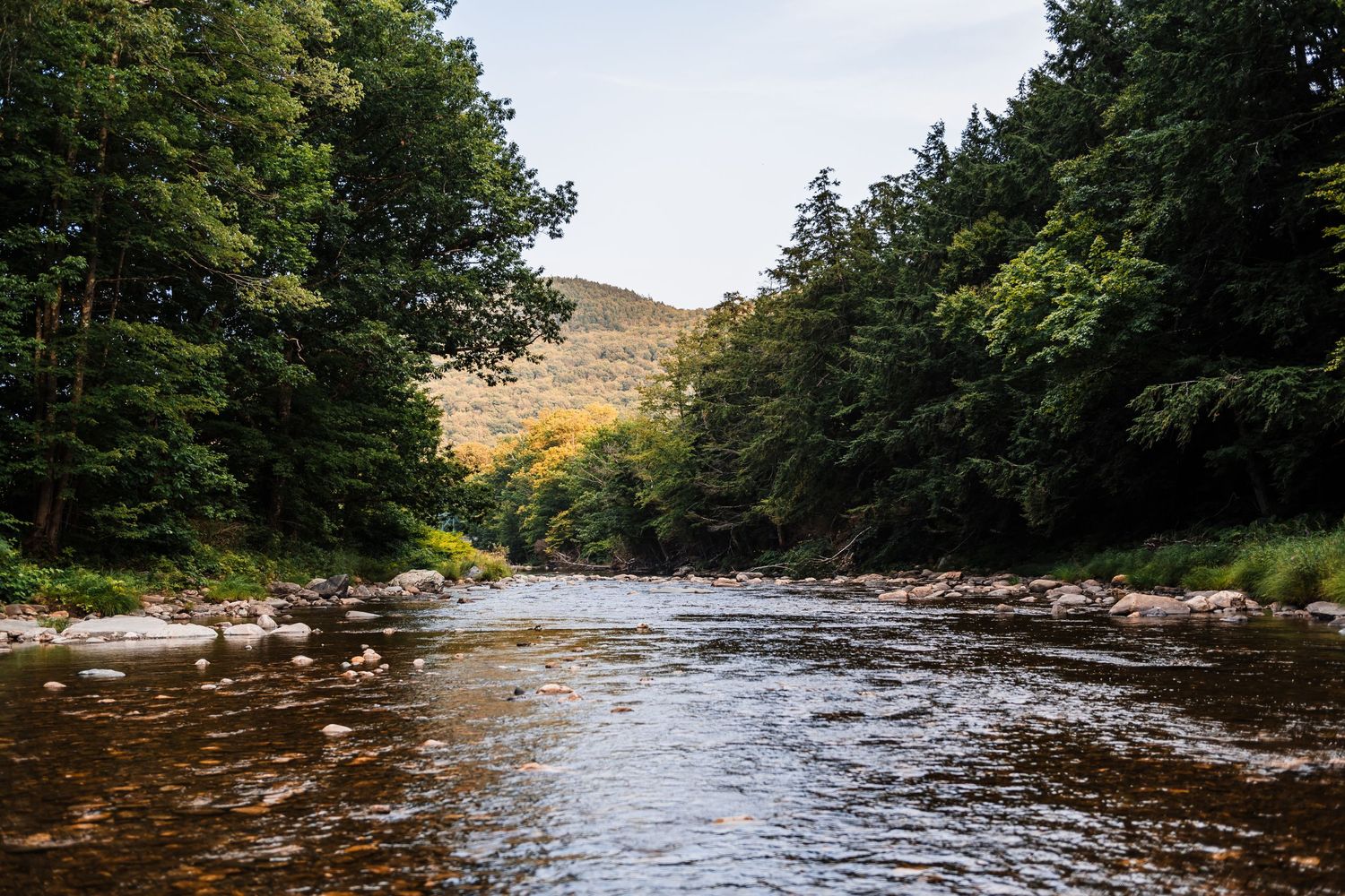 A tranquil river flows through a forested valley with rocky shores and rolling hills in the background.